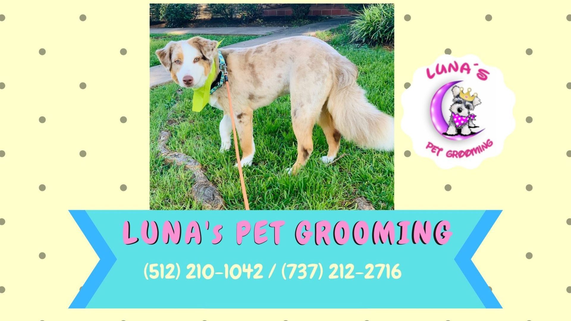 Luna 's pet grooming advertisement with a picture of a dog
