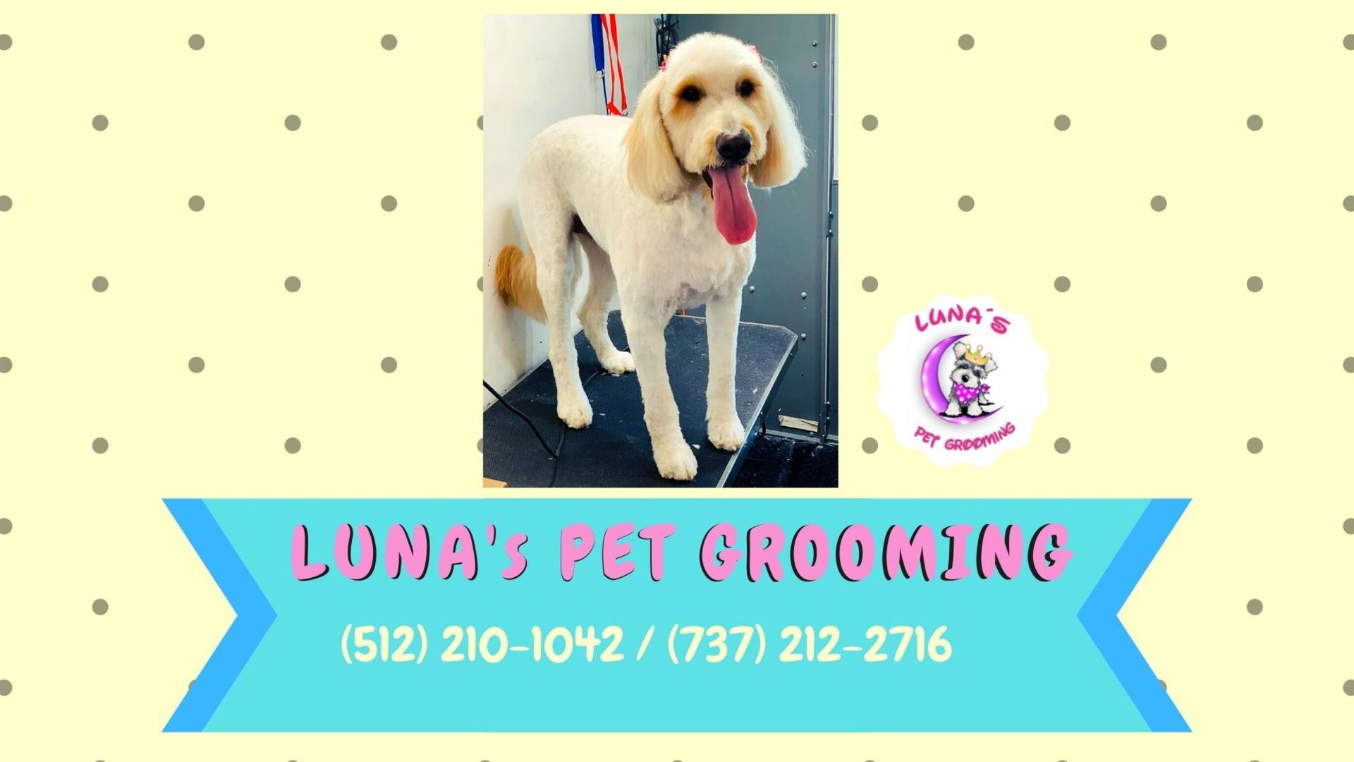 Luna 's pet grooming advertisement with a picture of a dog