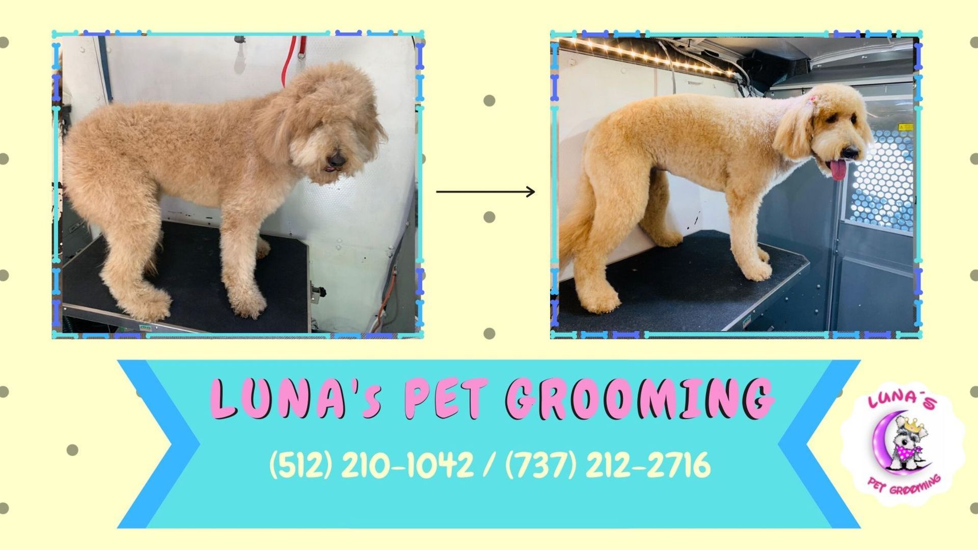A picture of a dog before and after being groomed by luna 's pet grooming