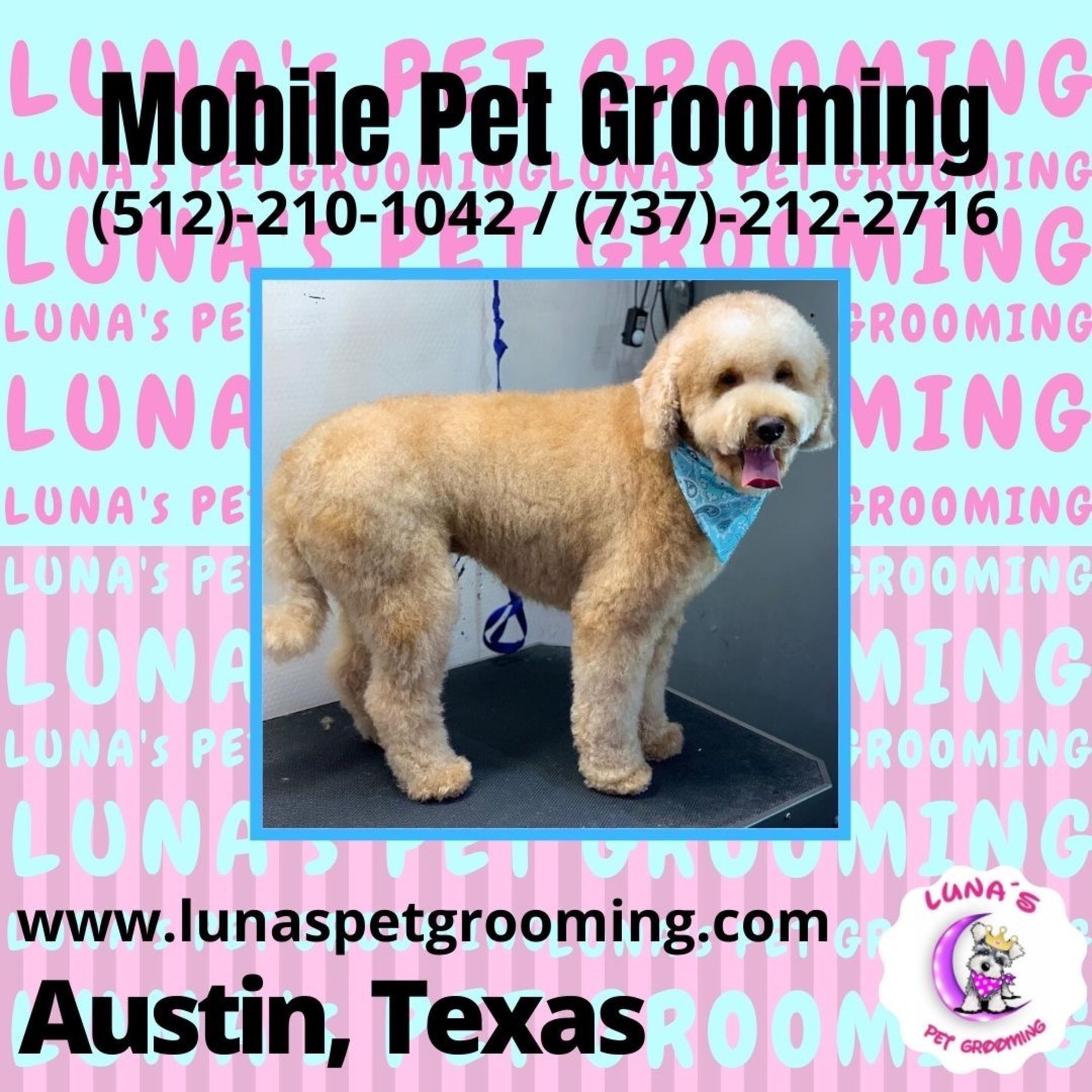 An ad for mobile pet grooming in austin texas
