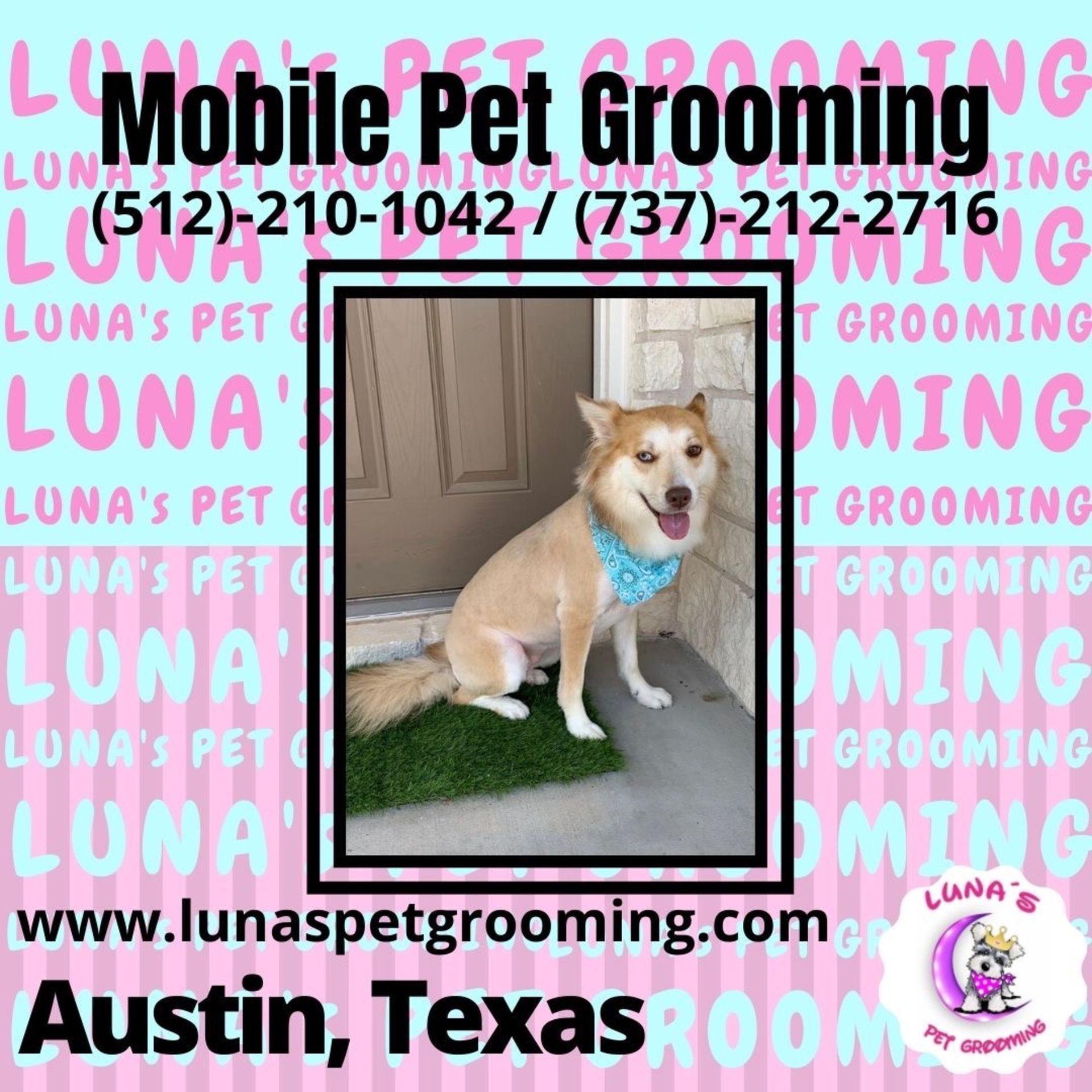 An ad for mobile pet grooming in austin texas
