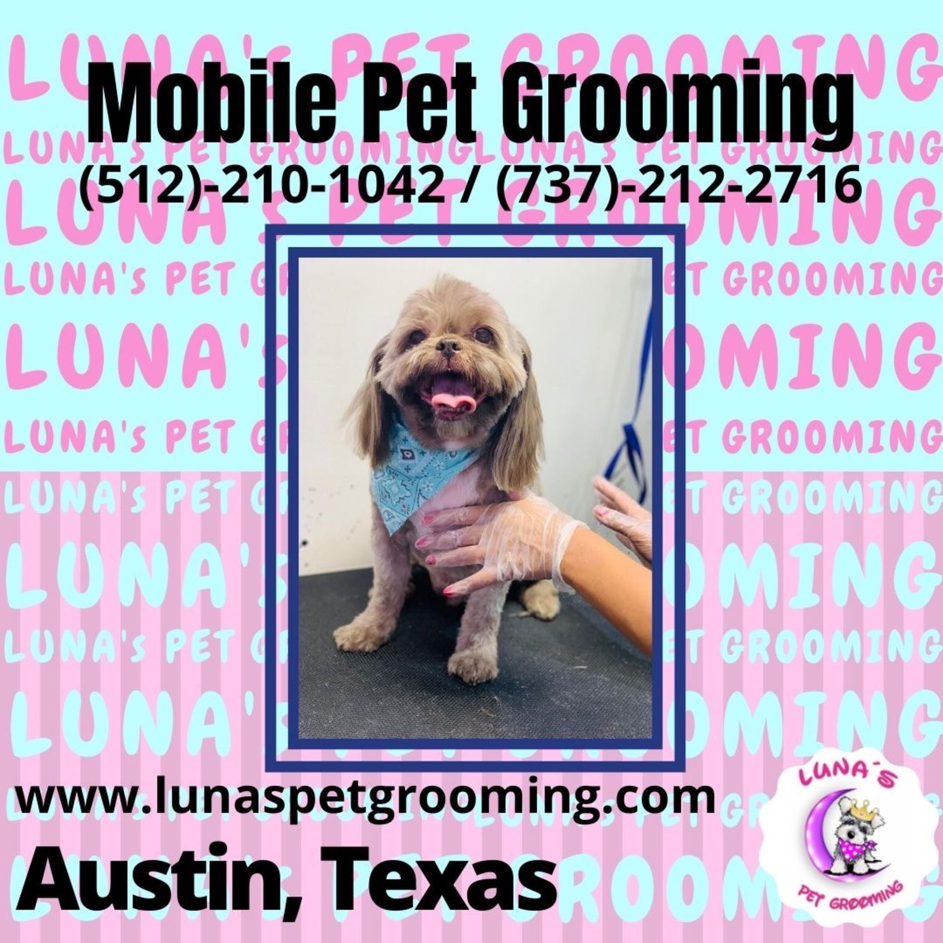 An ad for mobile pet grooming in austin texas