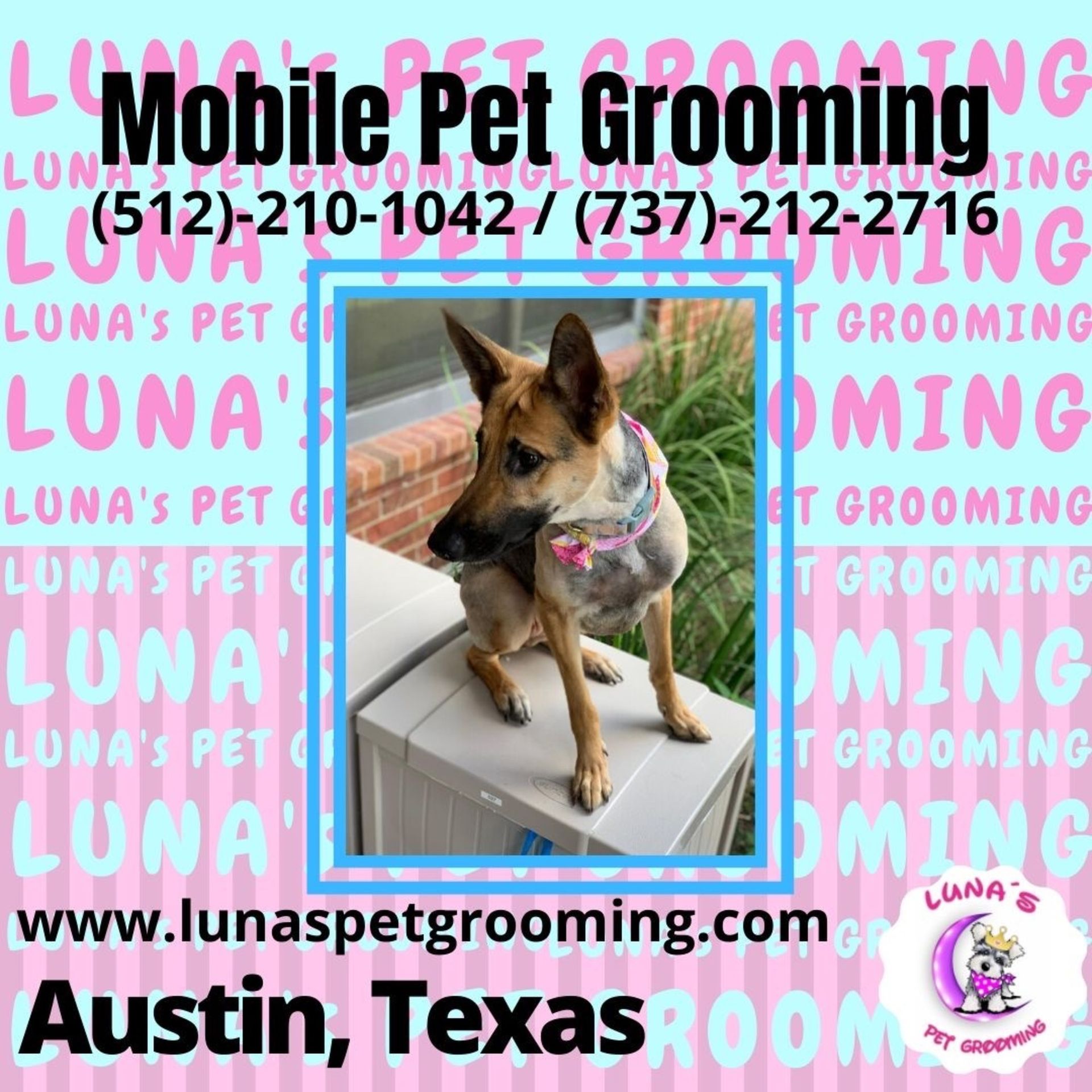 An ad for mobile pet grooming in austin texas