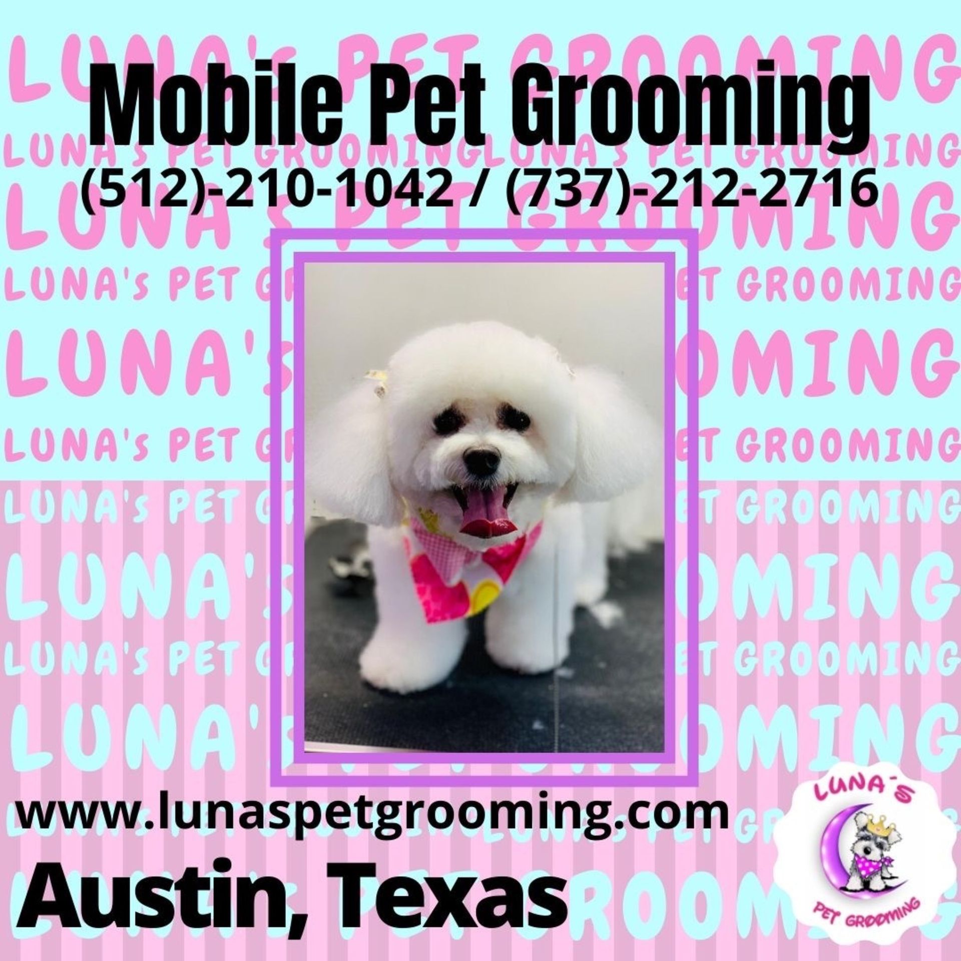 An ad for mobile pet grooming in austin texas