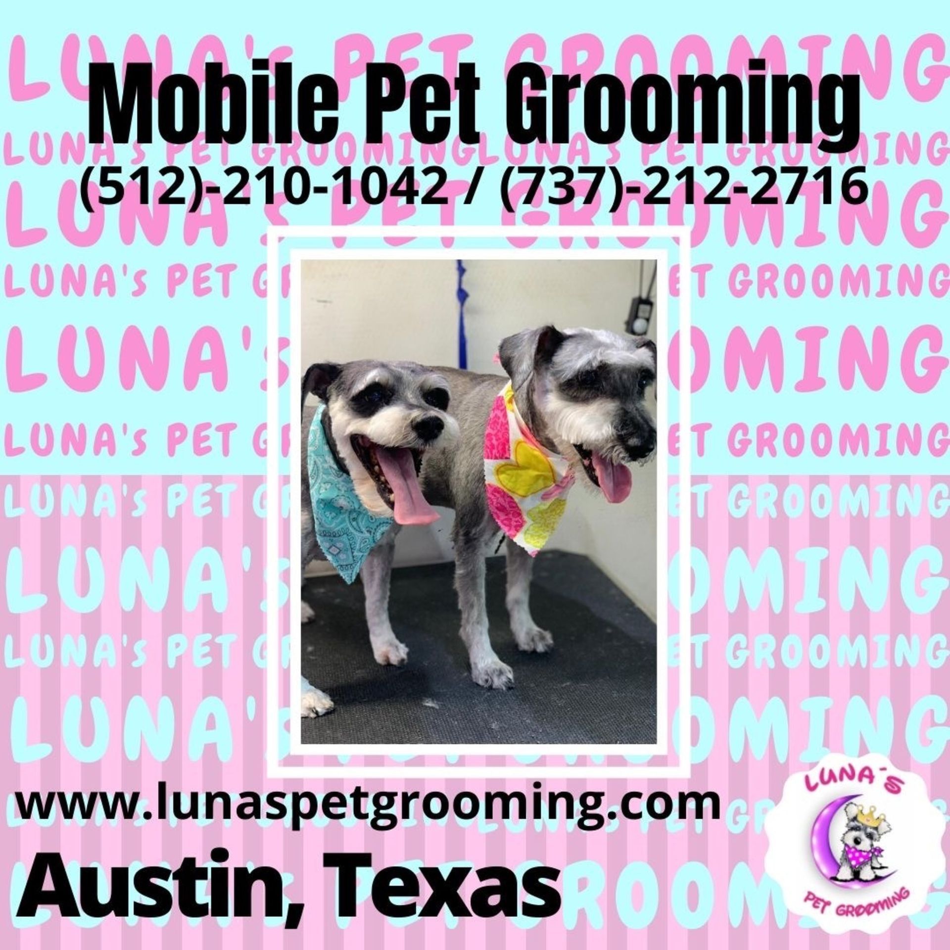 An ad for mobile pet grooming in austin texas