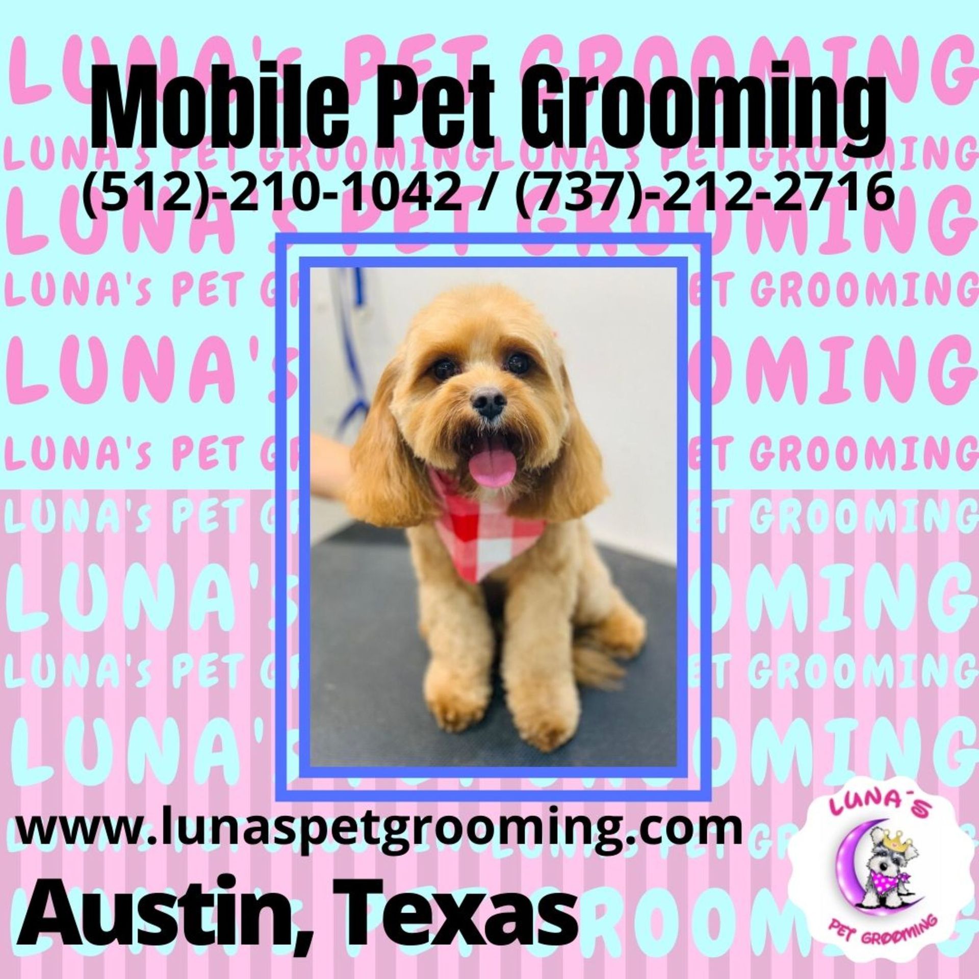 An ad for mobile pet grooming in austin texas