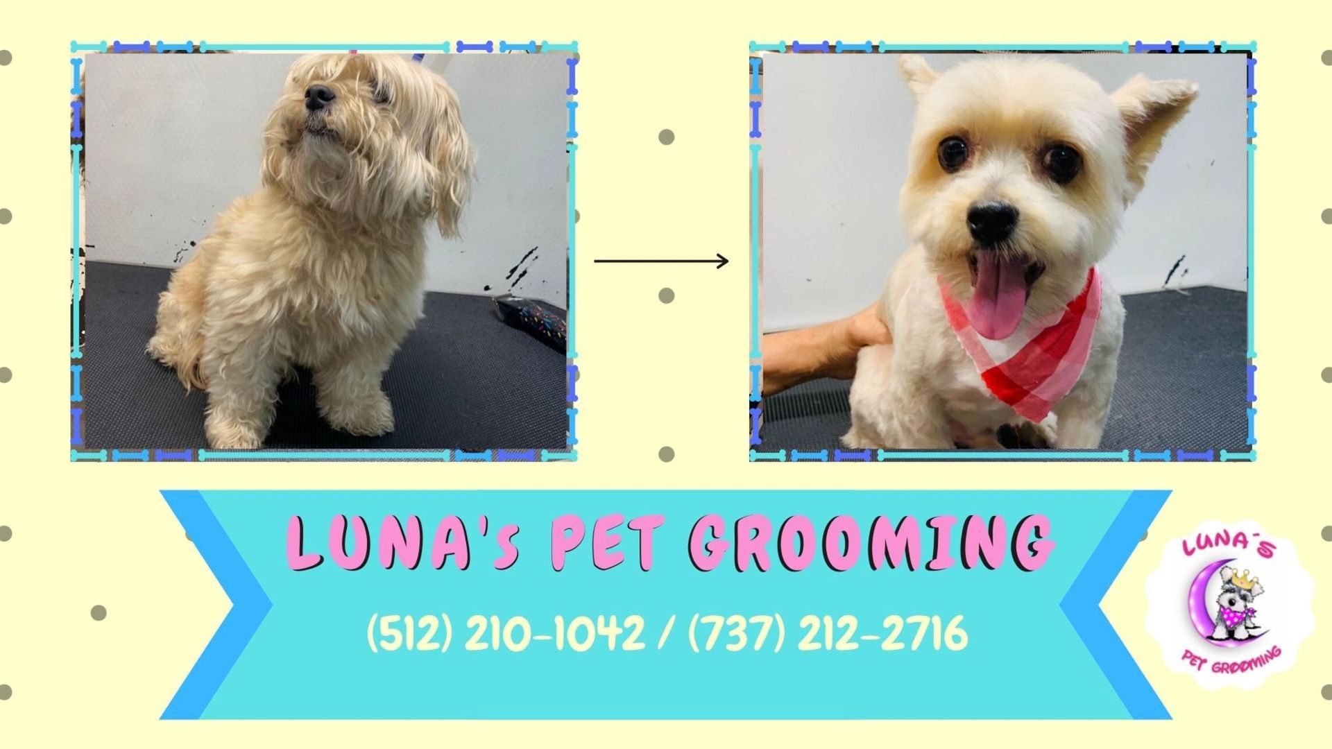 A poster for luna 's pet grooming shows two dogs