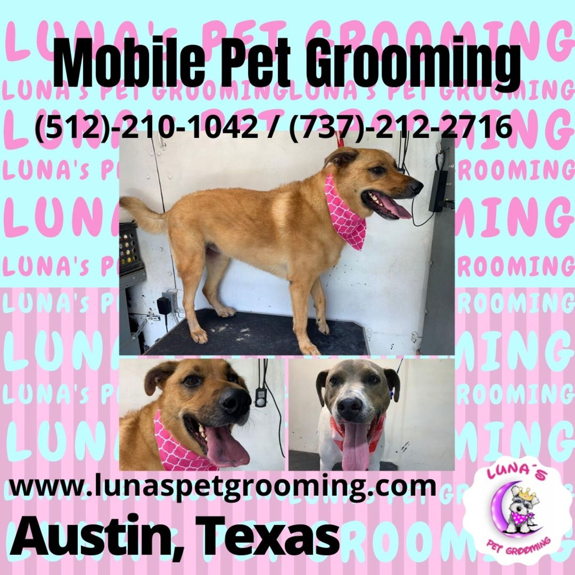 An ad for mobile pet grooming in austin texas