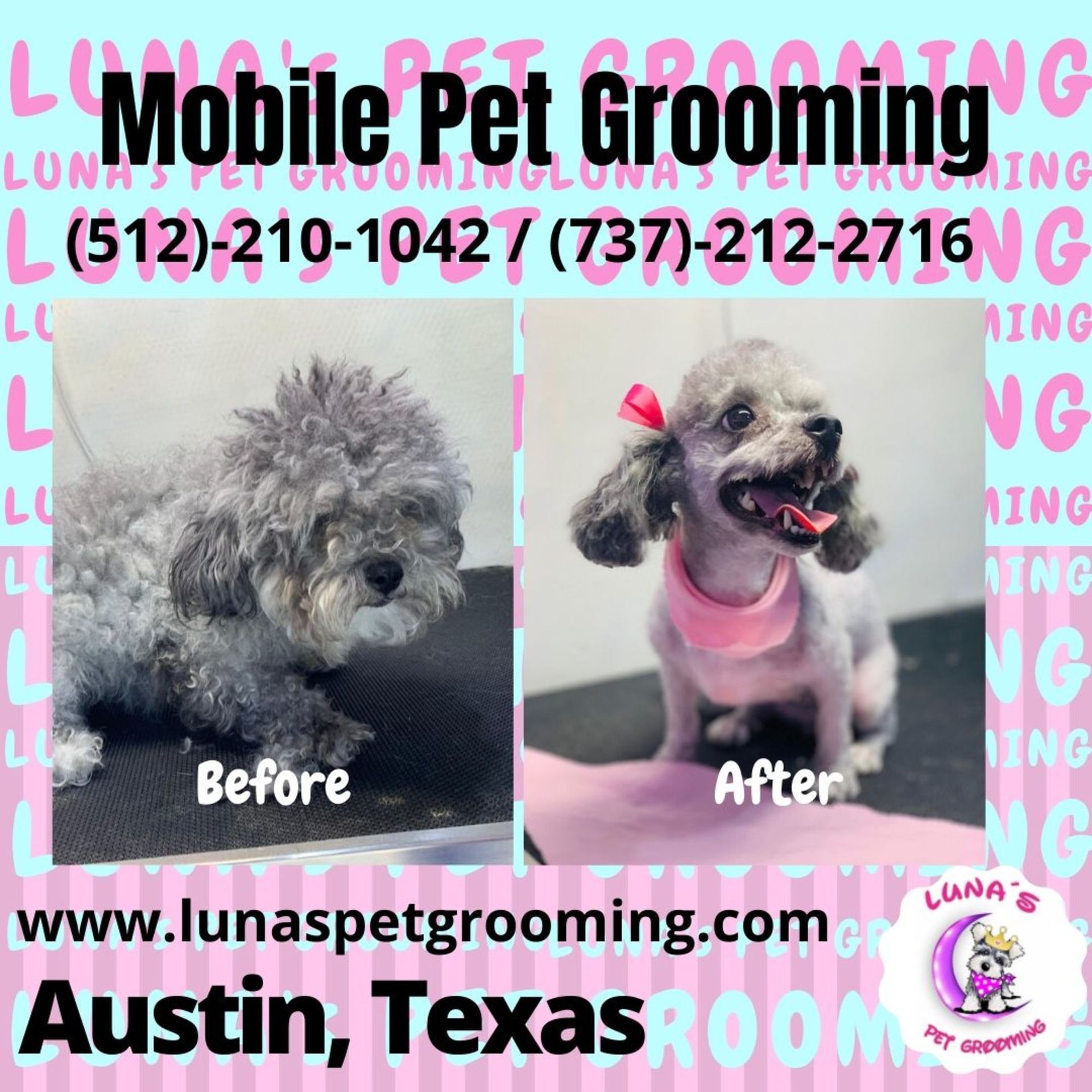 An ad for mobile pet grooming in austin texas