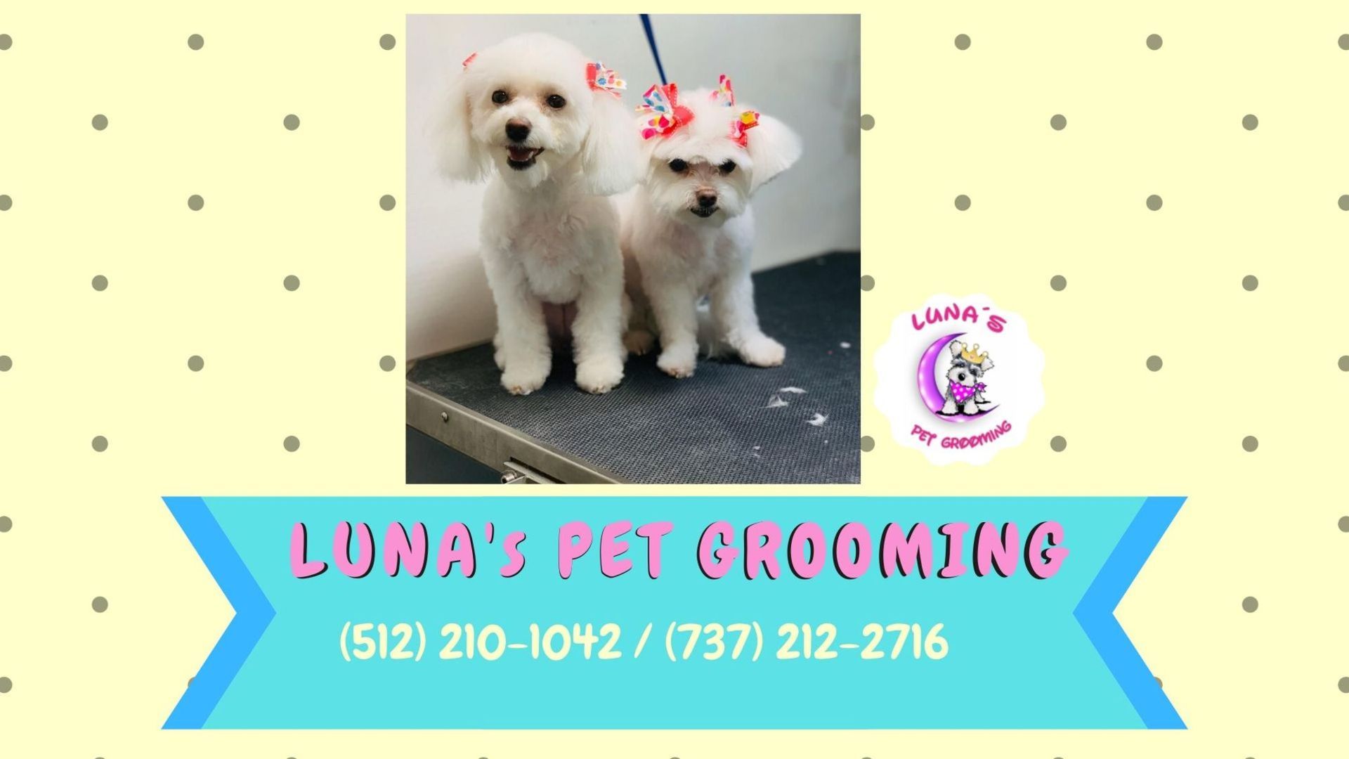 A poster for luna 's pet grooming shows two small white dogs