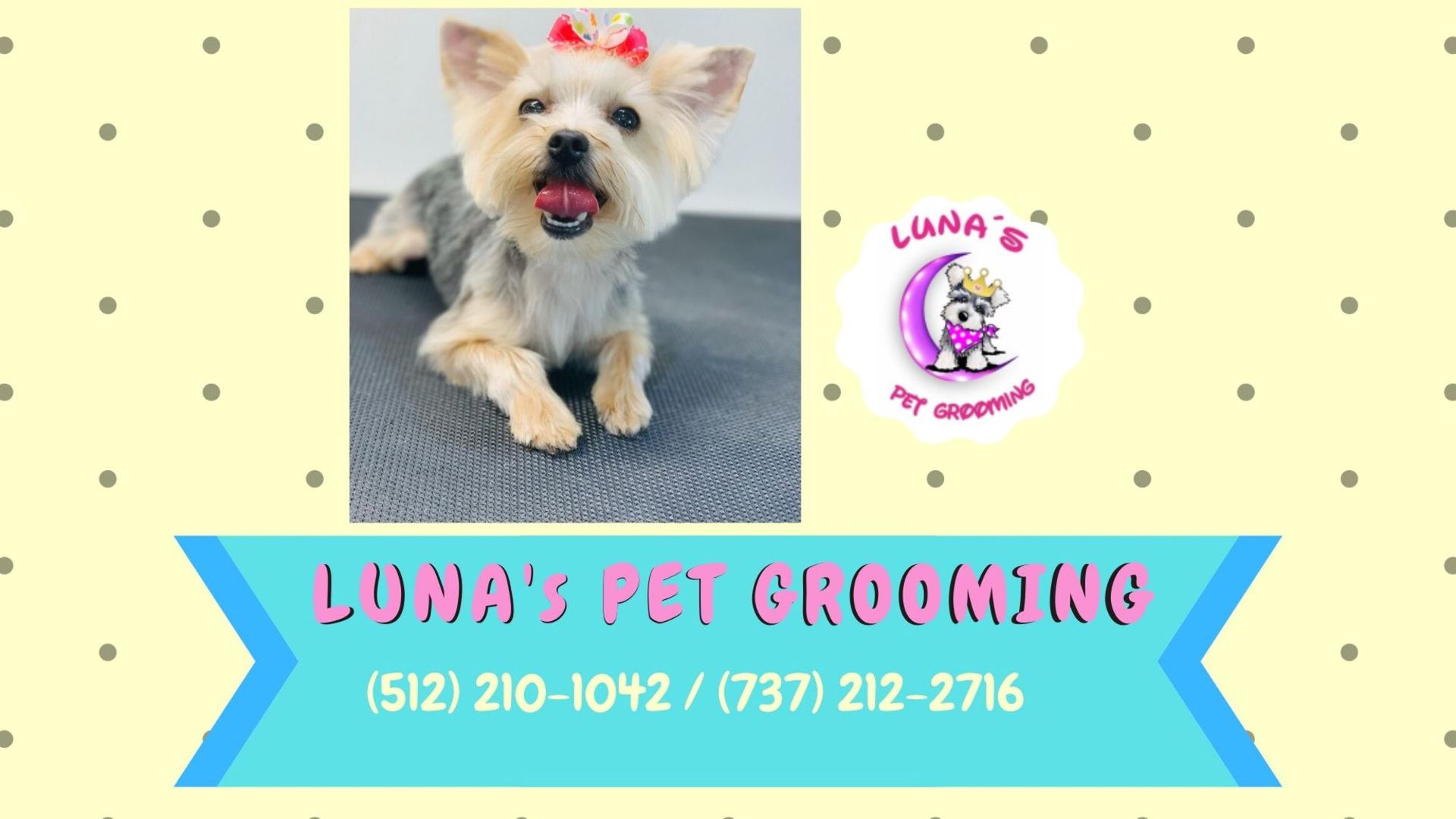 Luna 's pet grooming advertisement with a picture of a dog