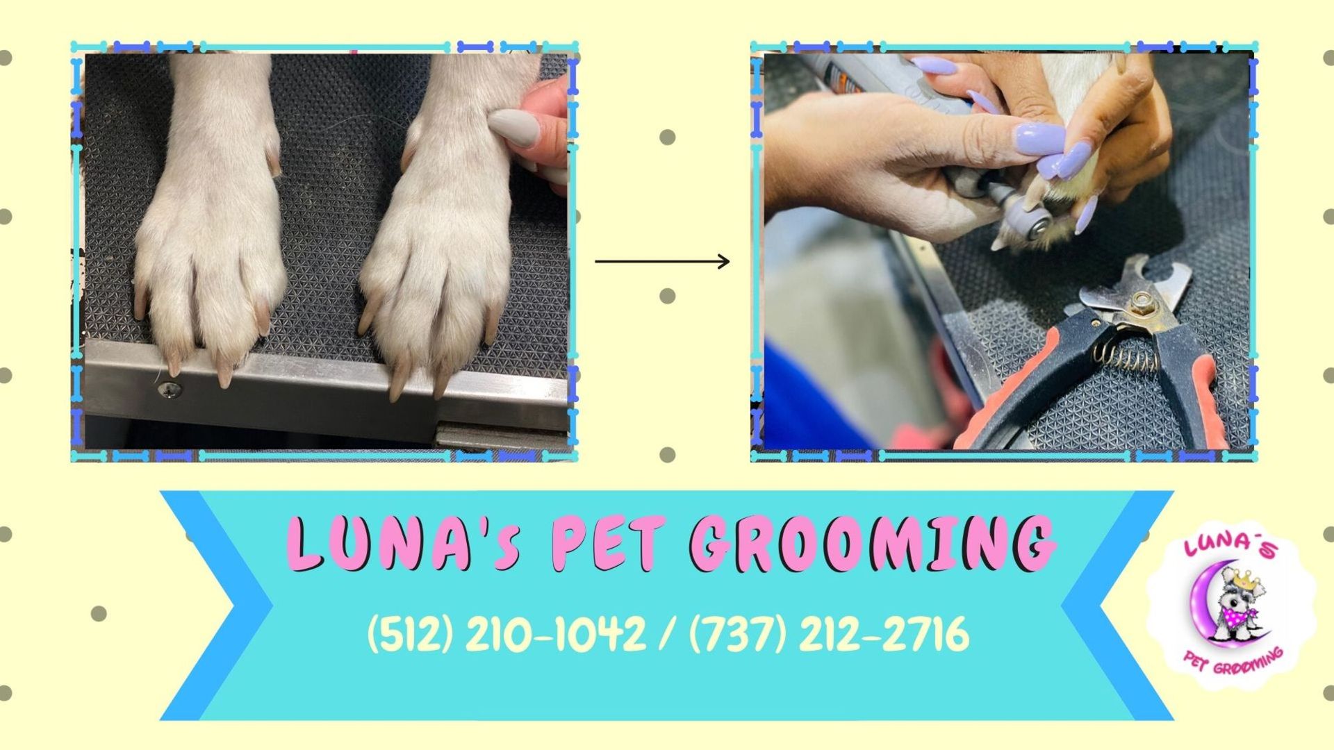 A poster for luna 's pet grooming shows a dog being groomed