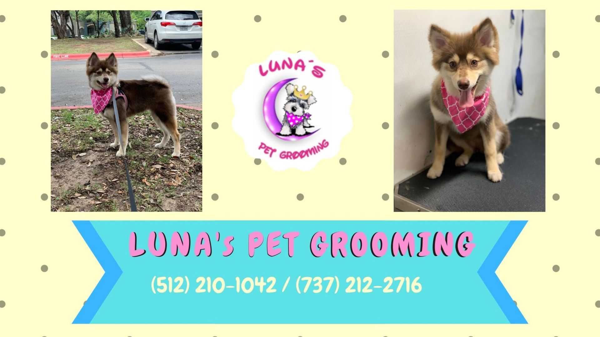 A poster for luna 's pet grooming with a picture of a dog