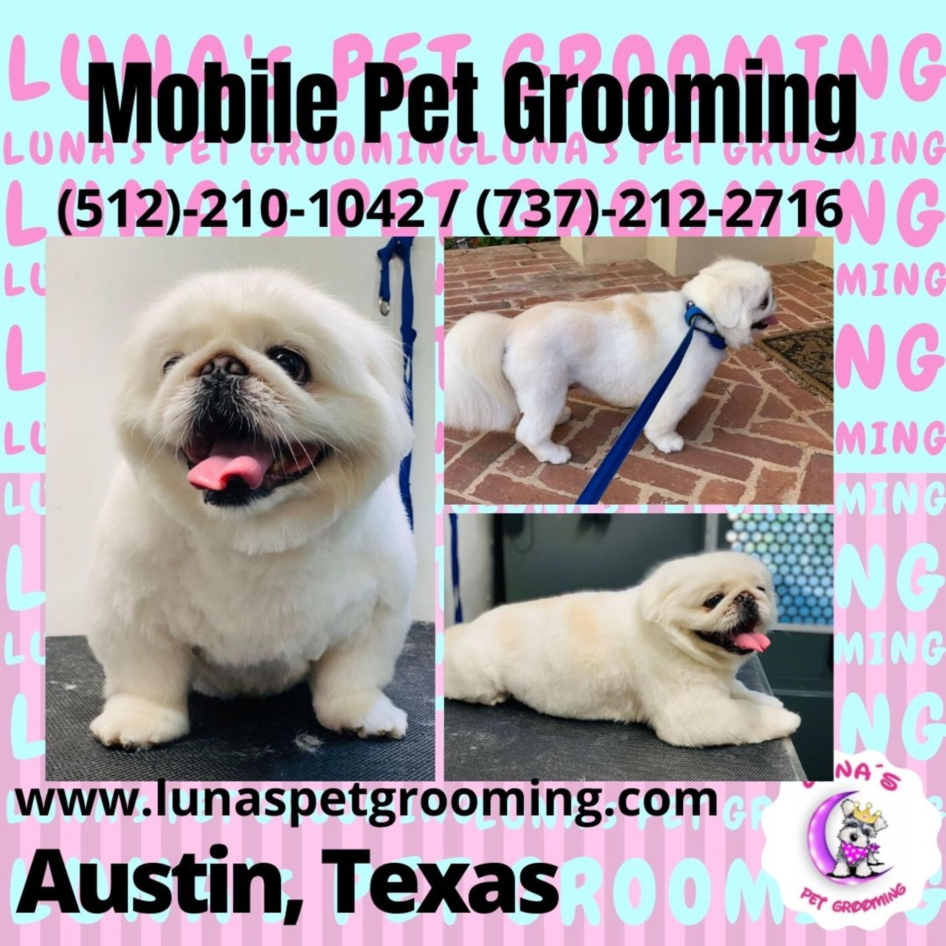 An ad for mobile pet grooming in austin texas