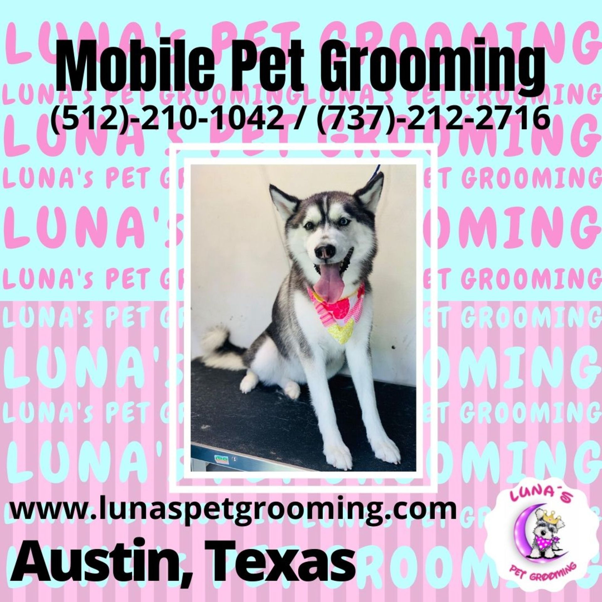 An advertisement for mobile pet grooming in austin texas
