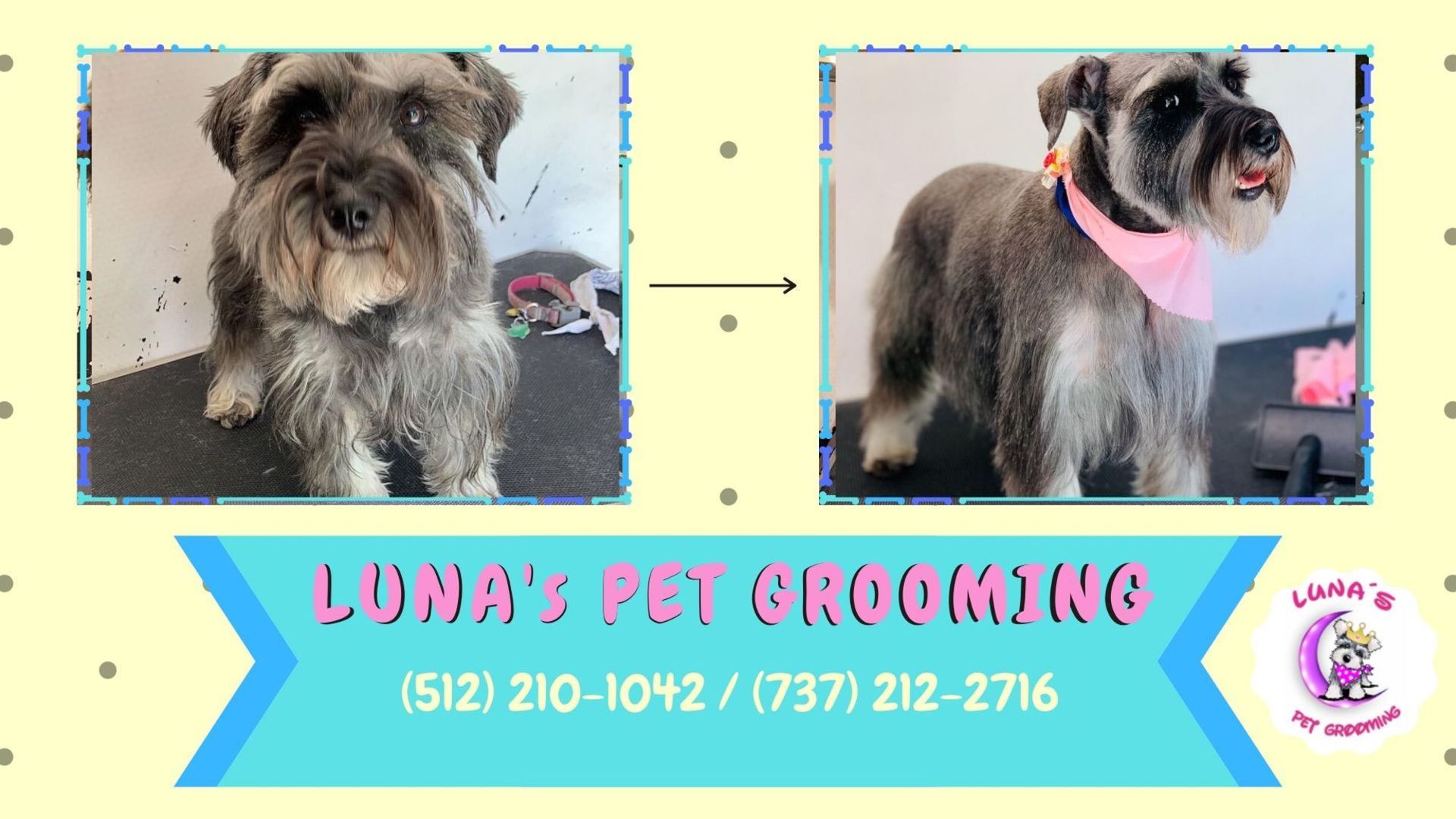 A flyer for luna 's pet grooming shows a schnauzer before and after being groomed