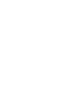 Pizza Icon
