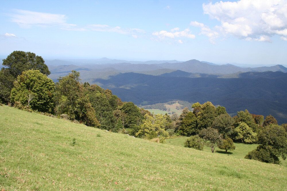 A Grassy Hillside With Trees And Mountains In The Background — Caba's Drapery In Dorrigo, NSW