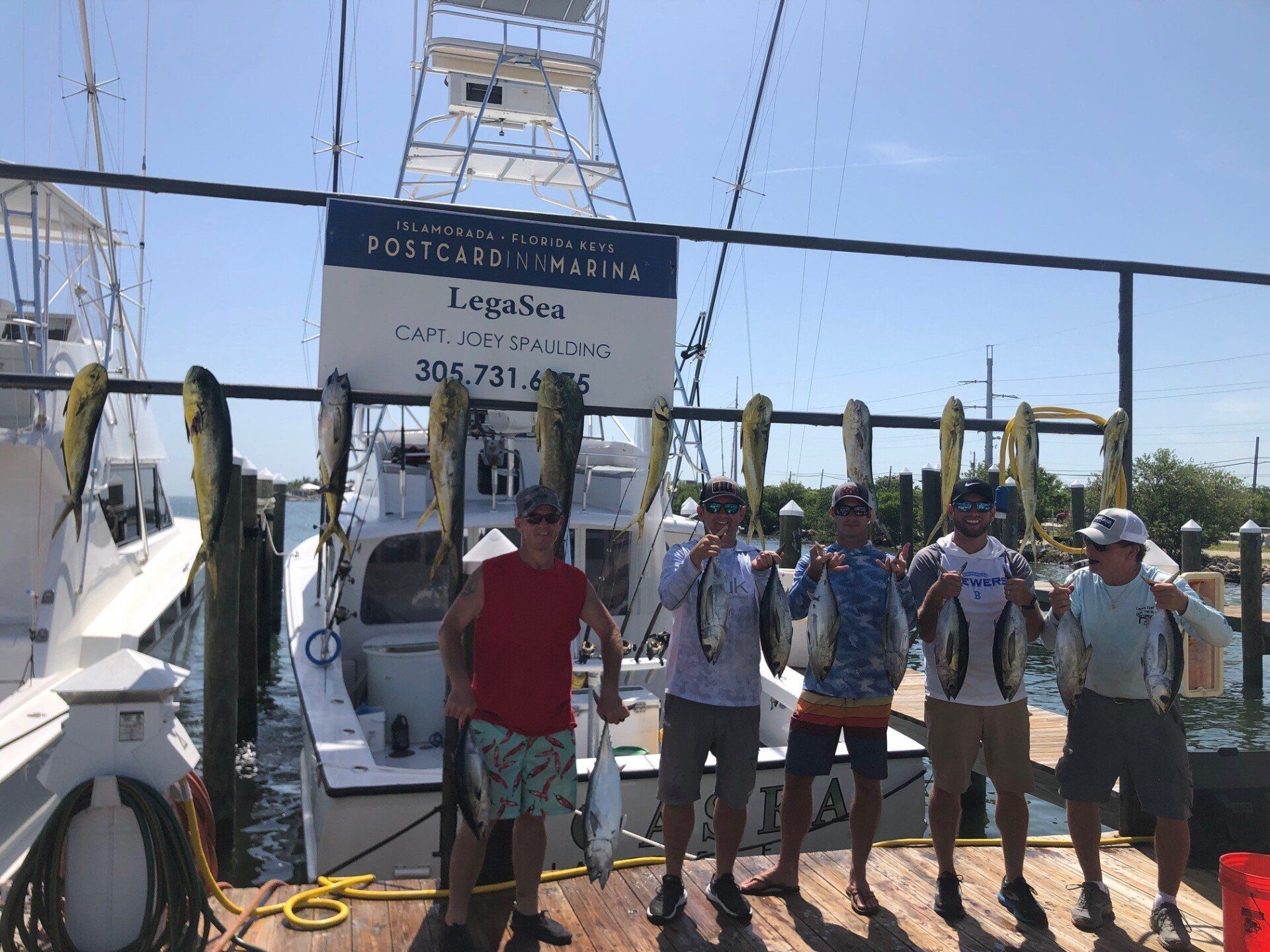 A group of men are standing on a dock holding fish.