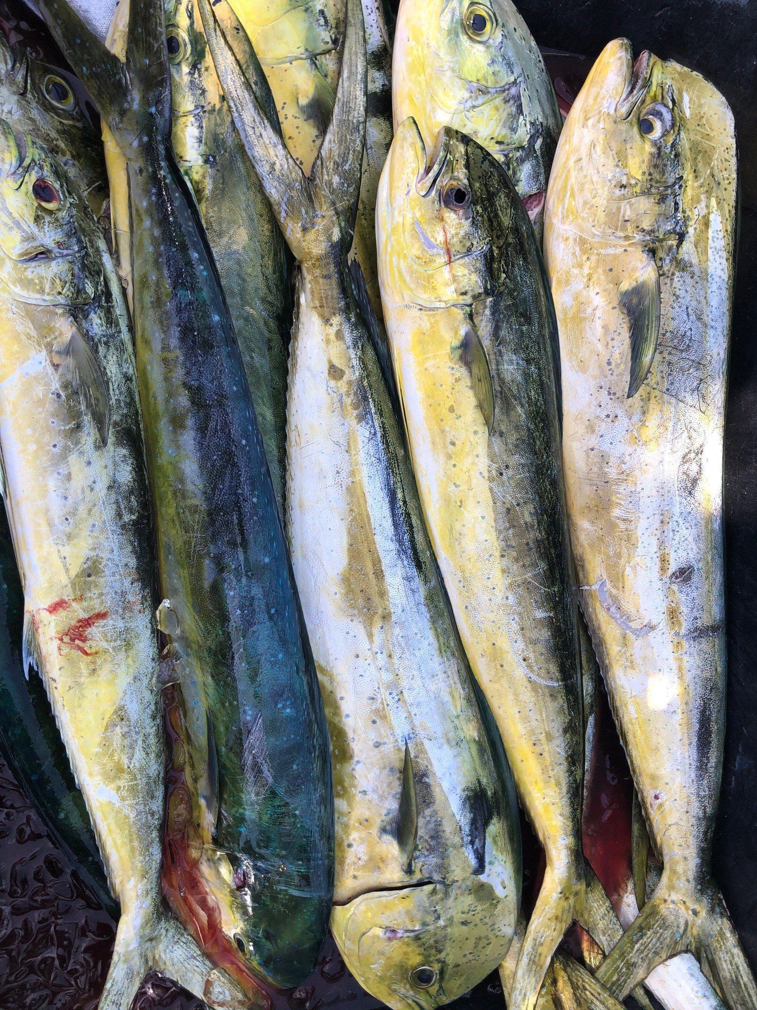 A bunch of fish are sitting on top of each other on a table.