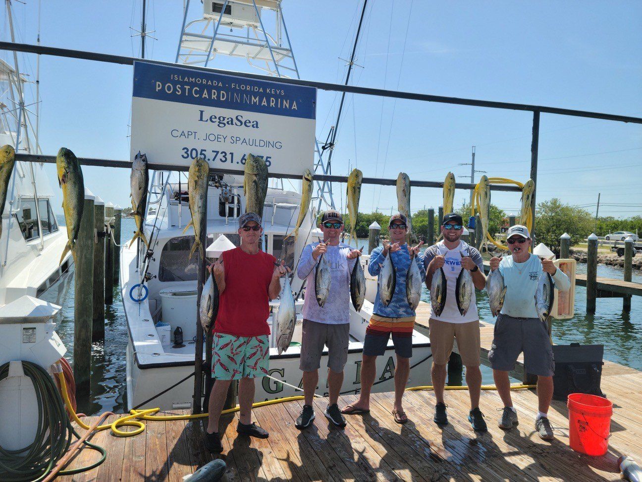 A group of men are standing on a dock holding fish.