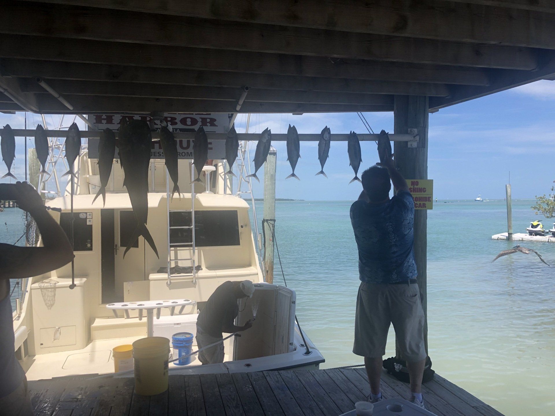 A man taking a picture of a boat with fish hanging from it
