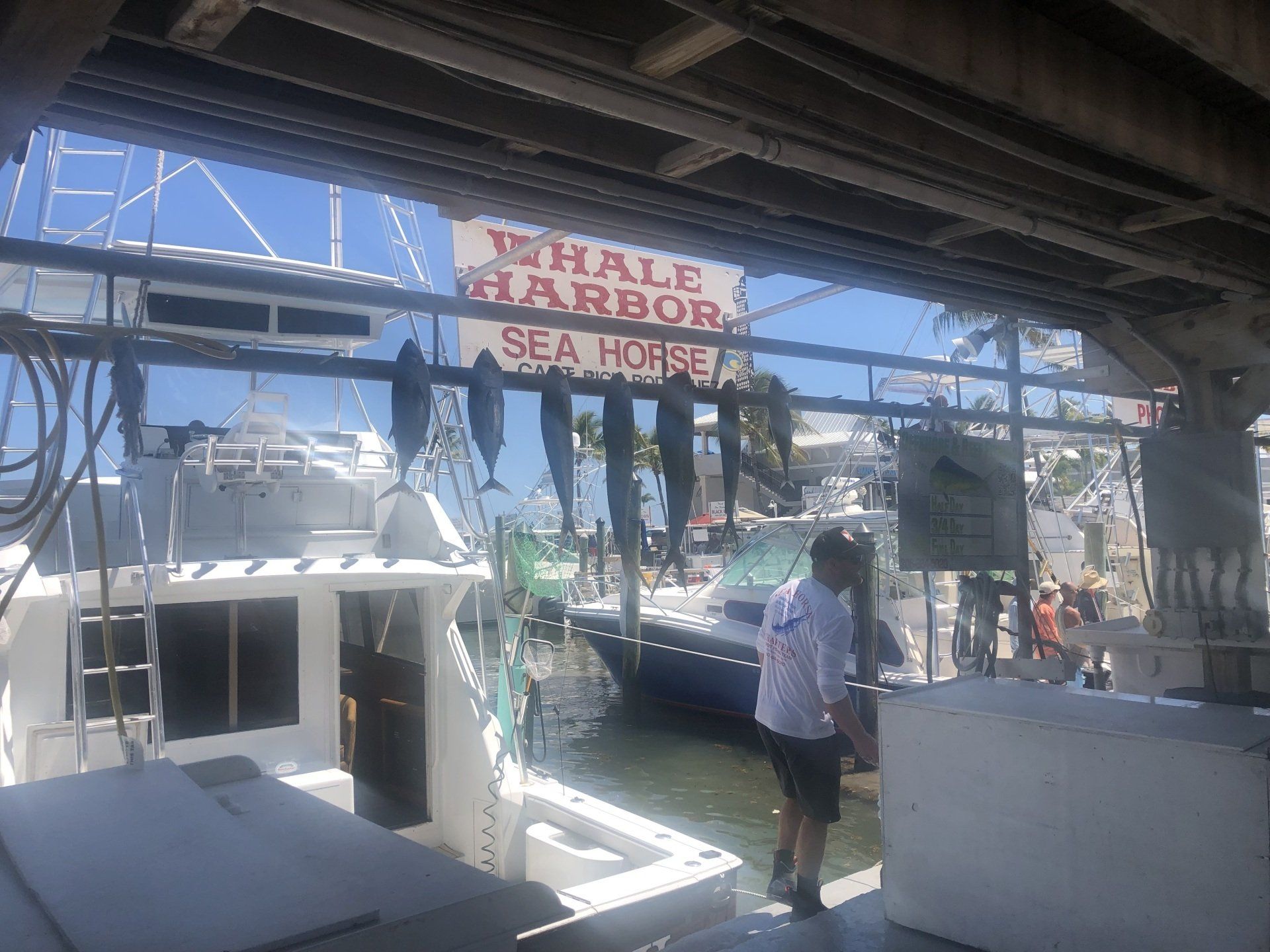 A man is standing in front of a sign that says whale harbor sea house