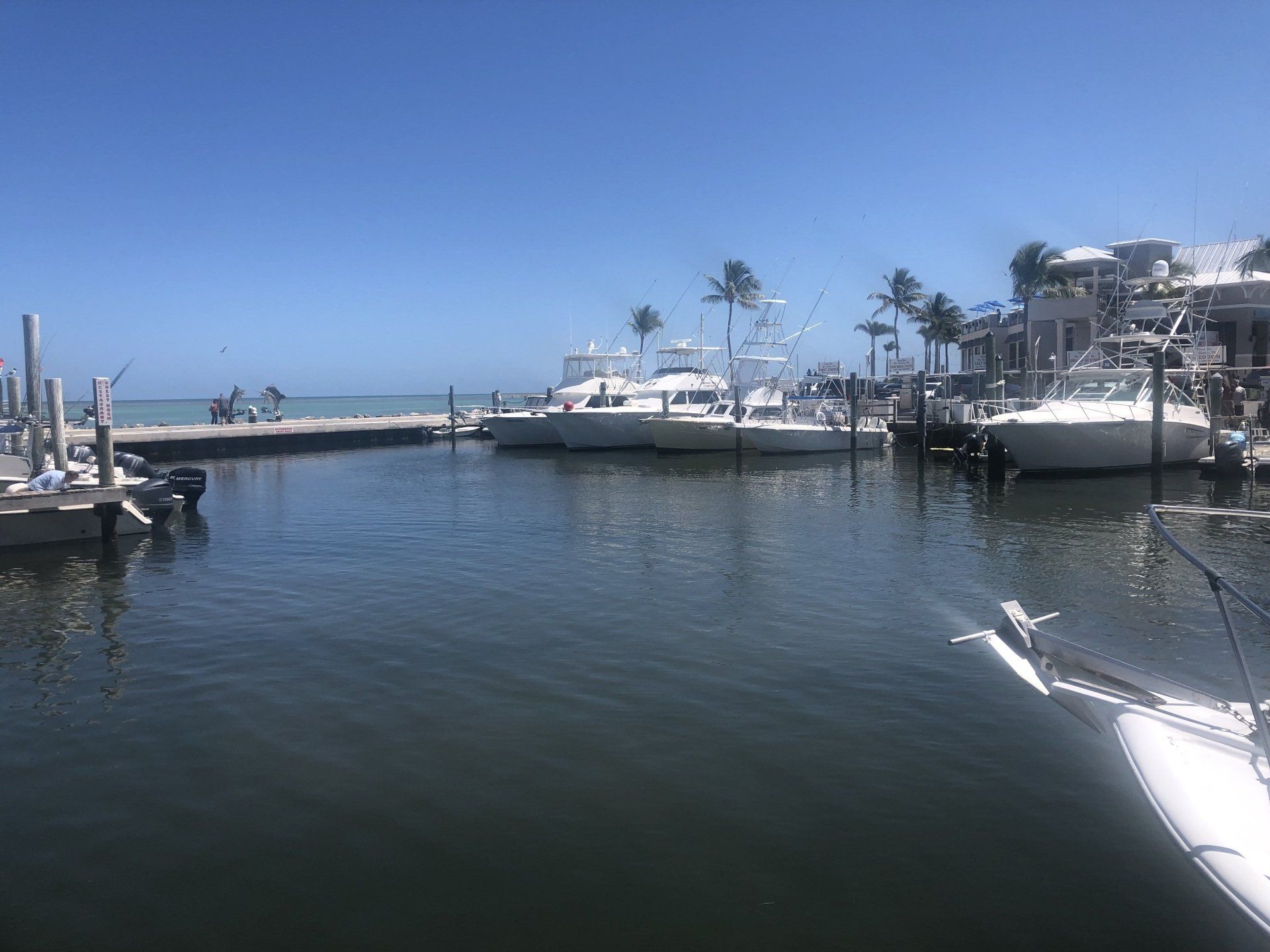 A group of boats are docked in a marina.