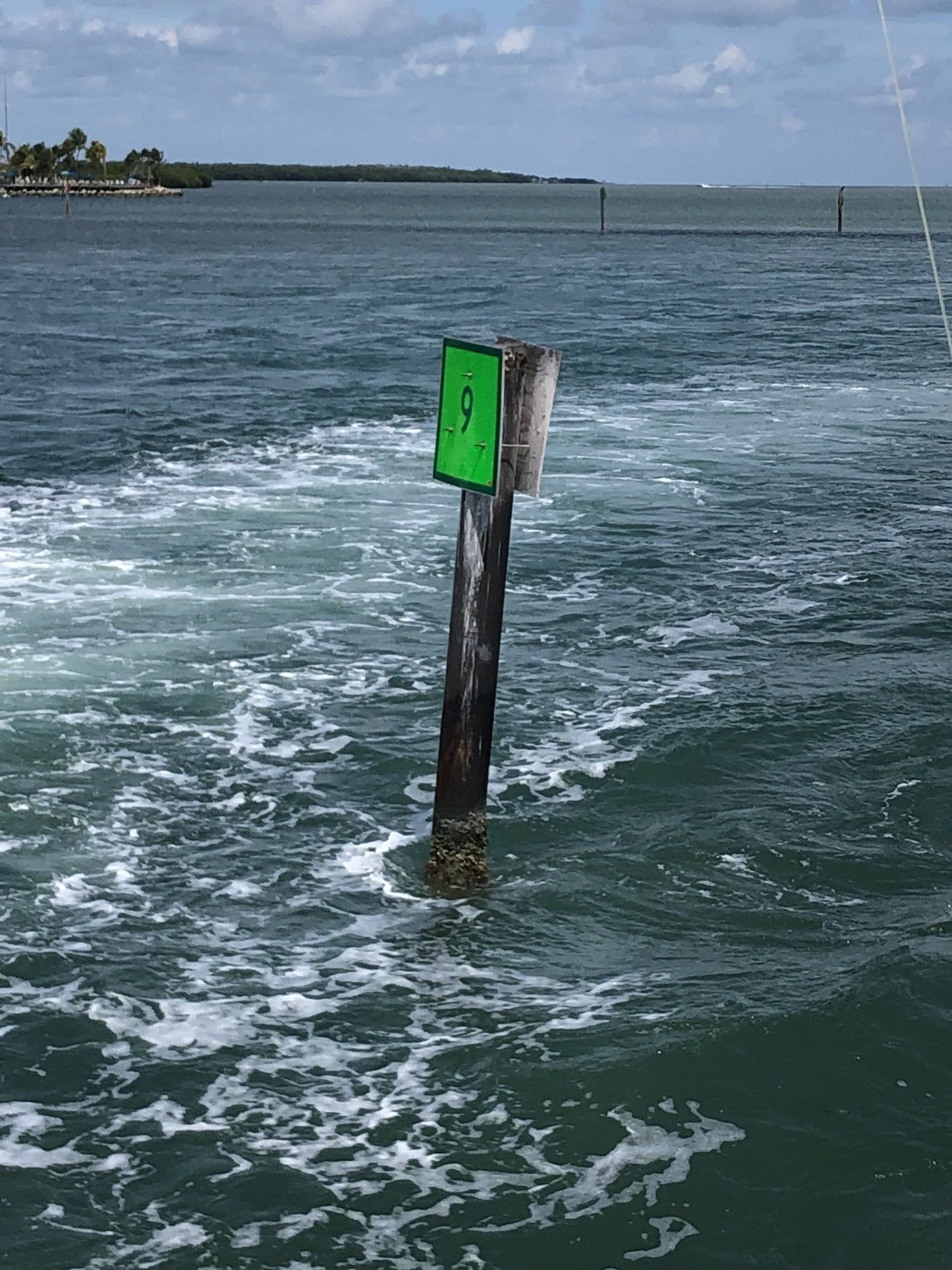 A green pole in the middle of a body of water.