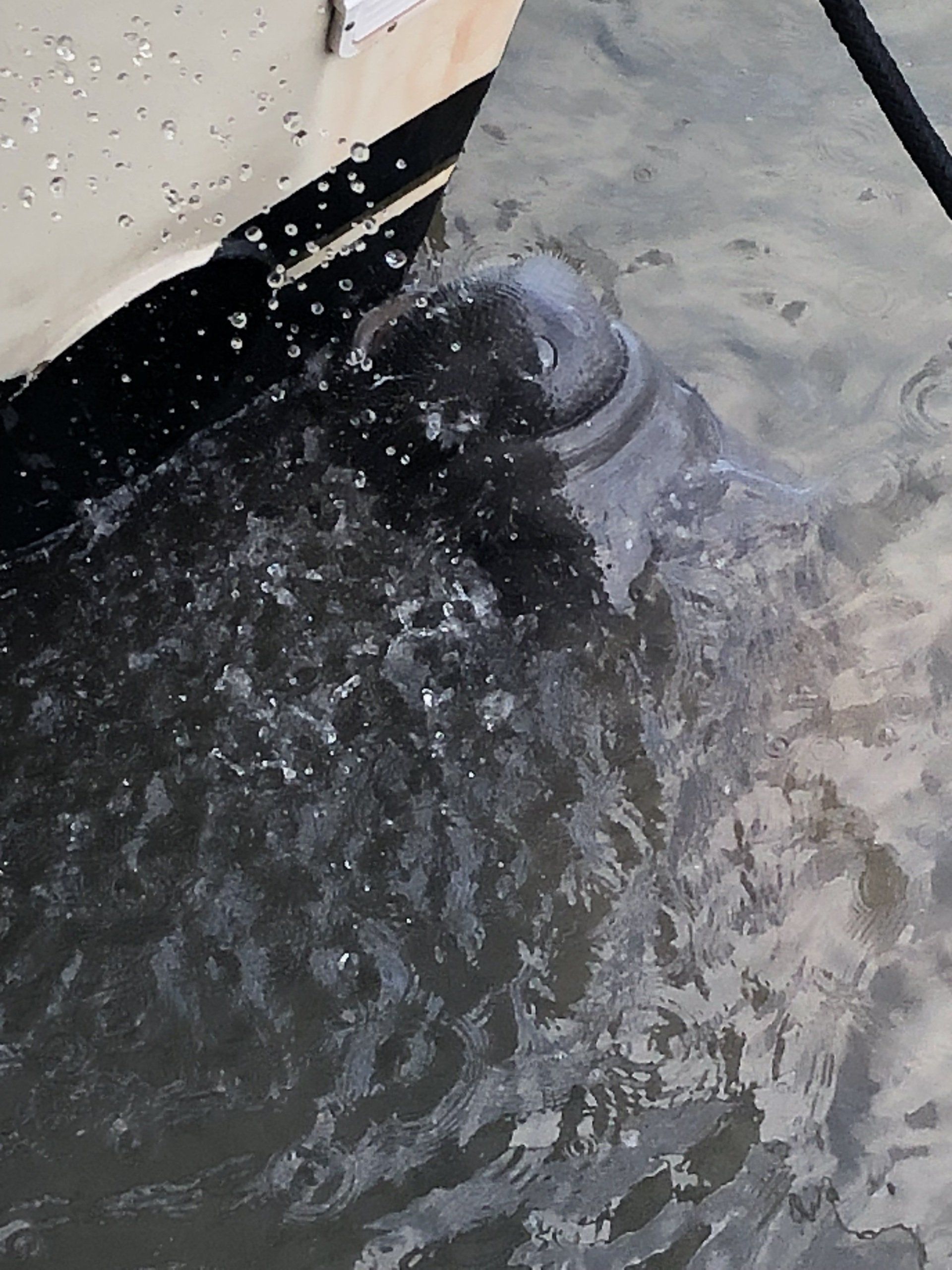 A close up of a boat in the water