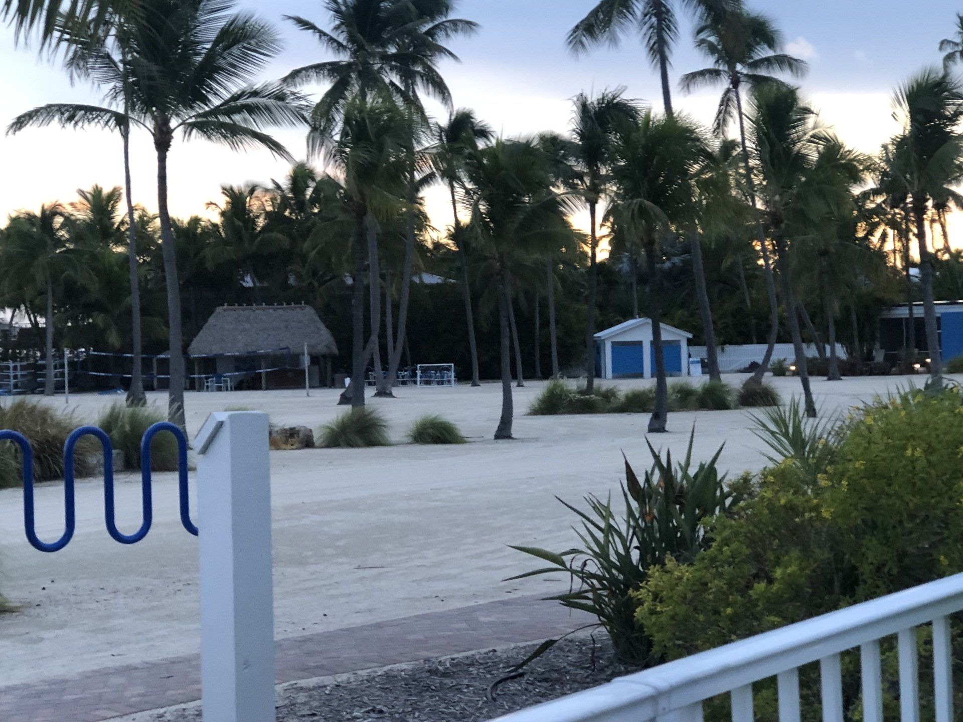 A bicycle rack on a beach with palm trees in the background