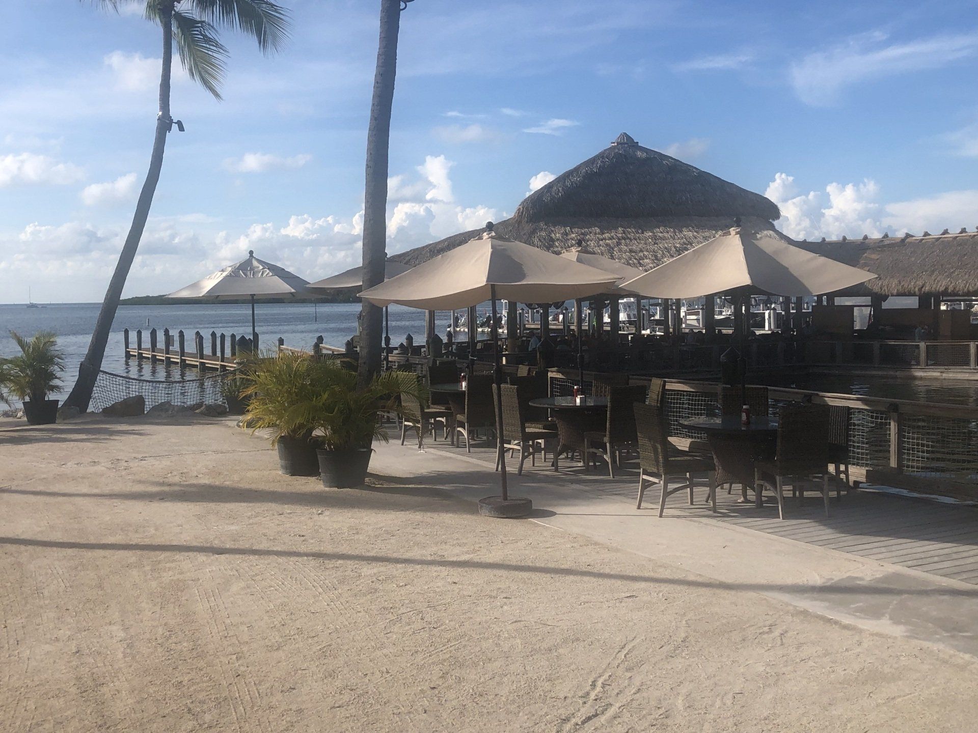A restaurant on the beach with umbrellas and chairs