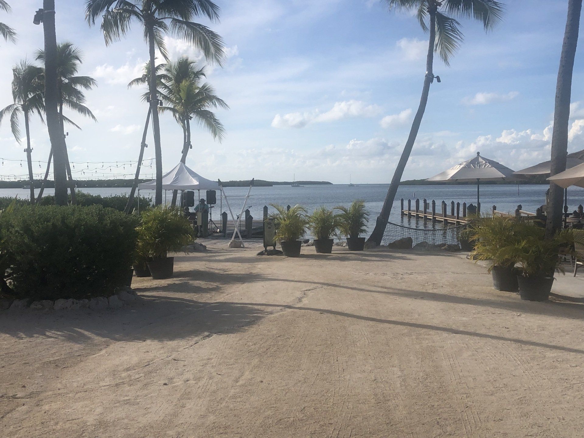 A beach with palm trees and umbrellas on a sunny day