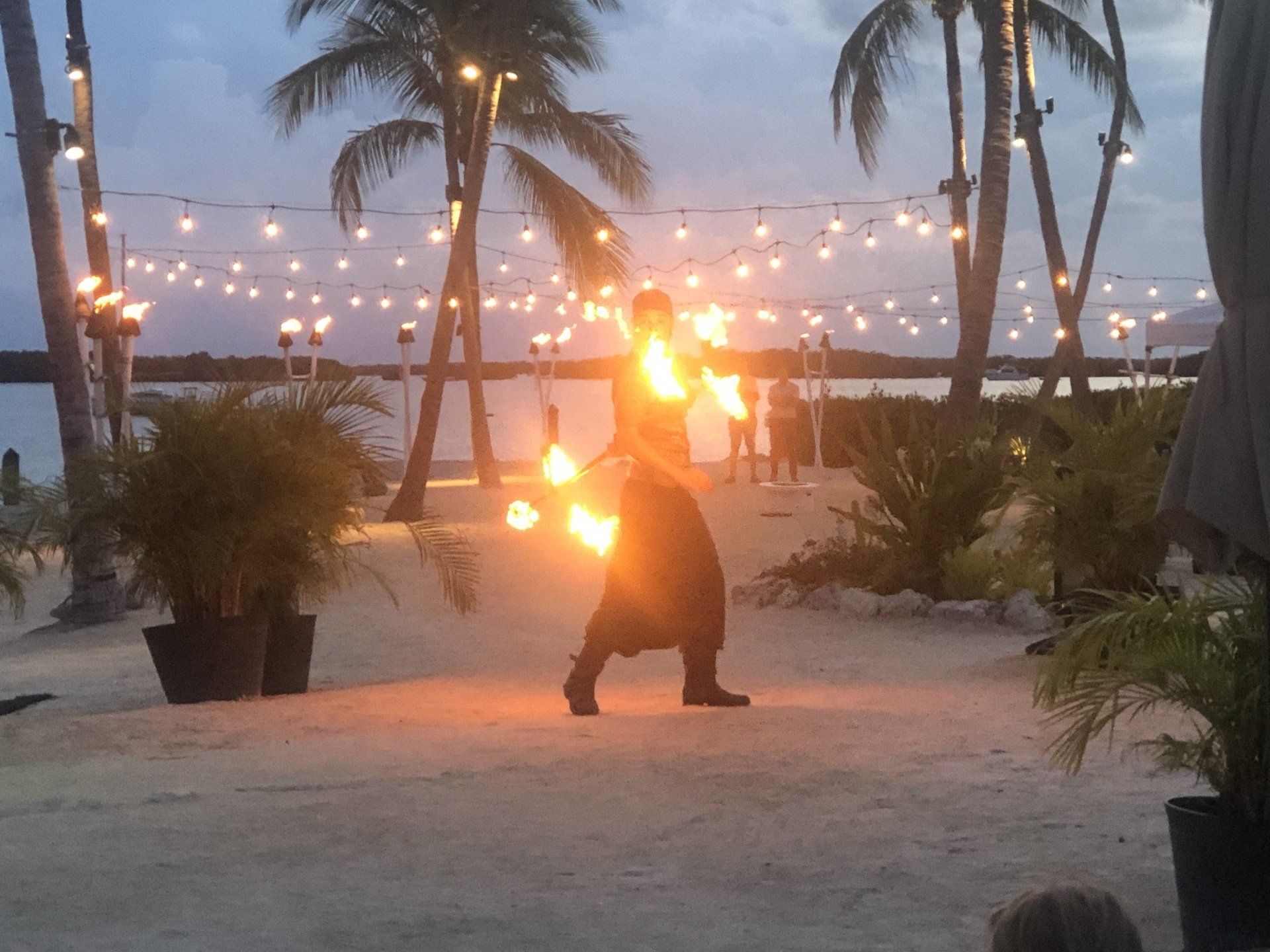 A man is holding a torch on a beach with palm trees in the background