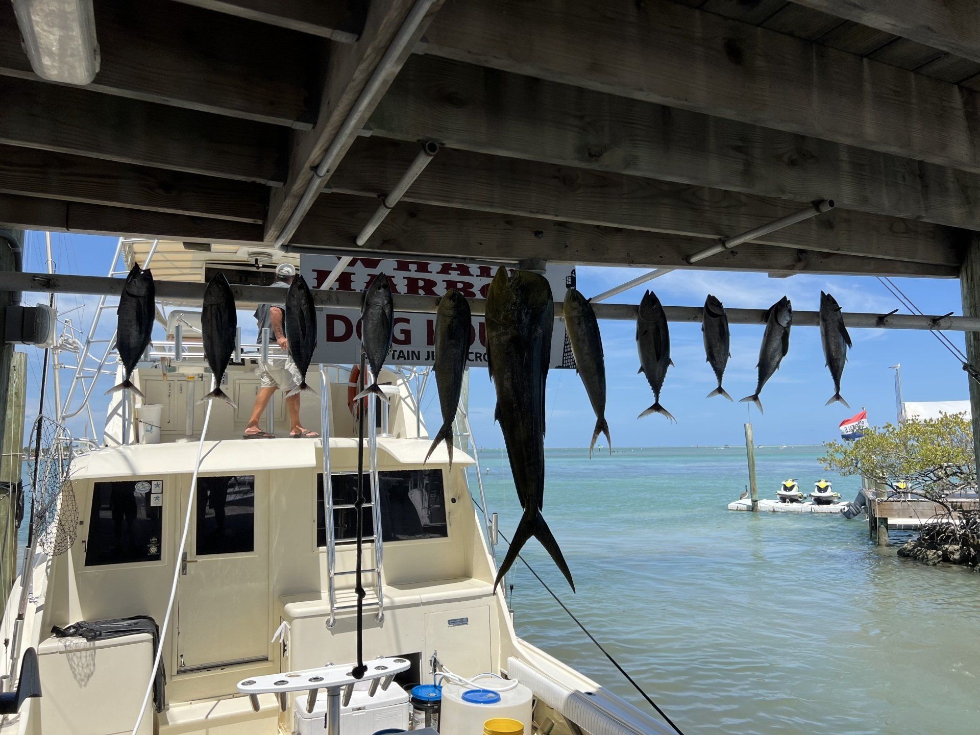 A boat with fish hanging from the side of it.