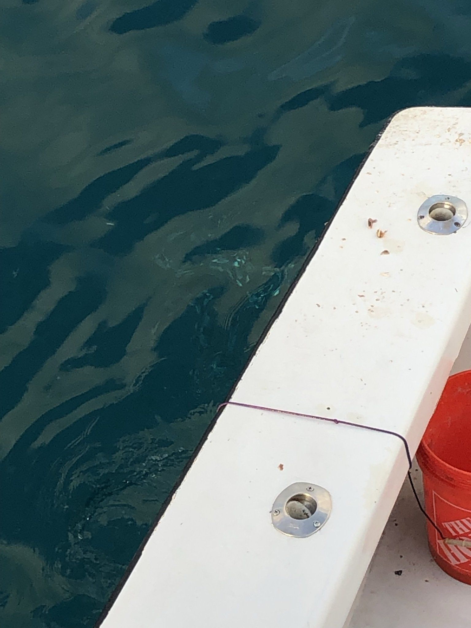 A white railing is sitting in the water next to a red bucket.