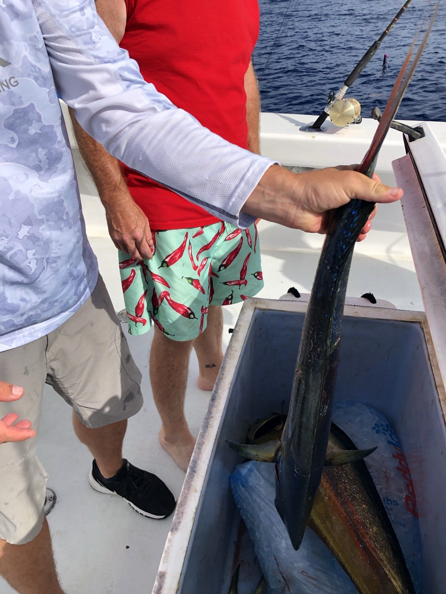A man is holding a fish in a cooler on a boat.