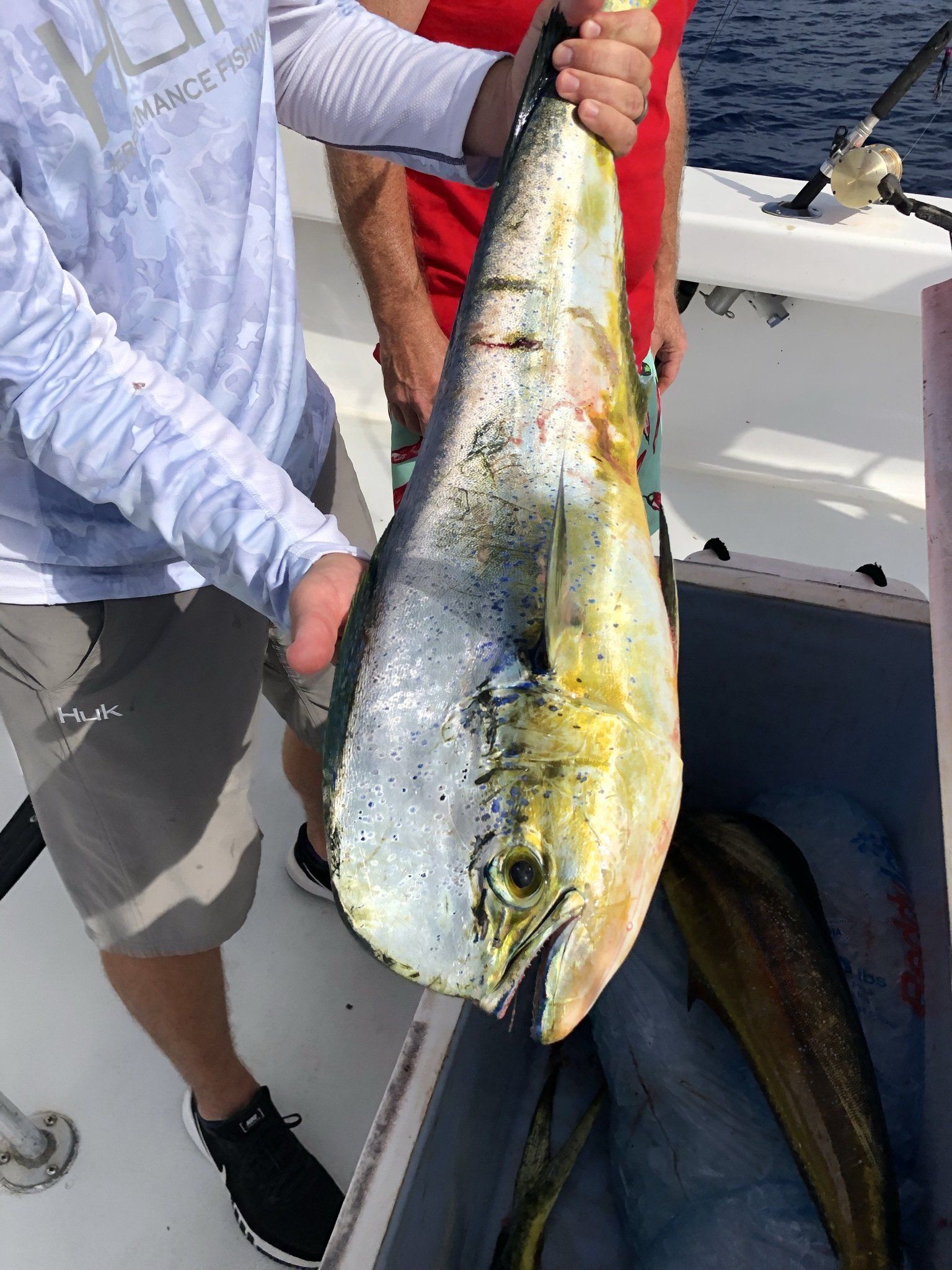 A man is holding a large fish in his hands on a boat.