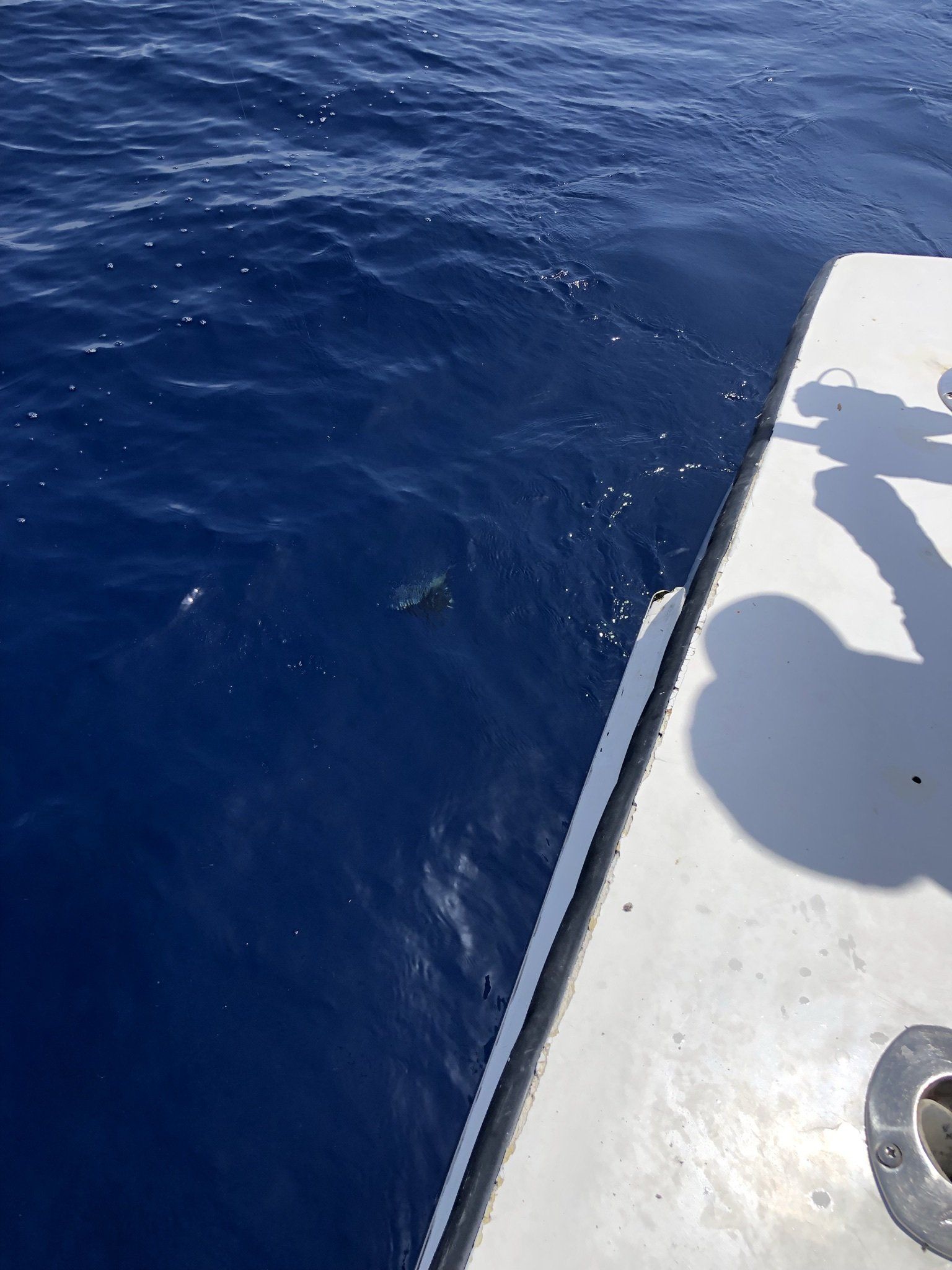 A boat is floating on top of a body of water.