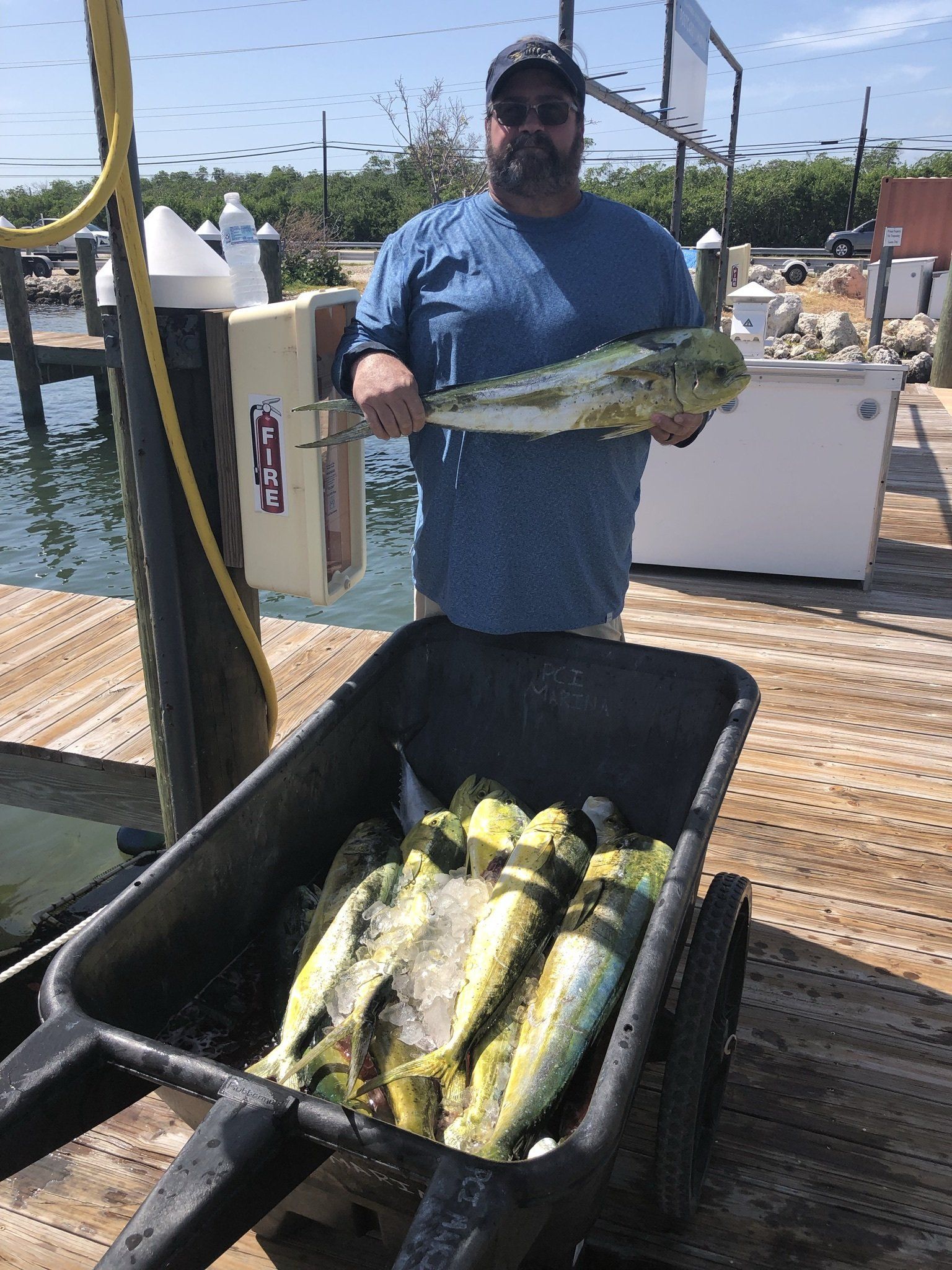 A man is holding a fish in front of a wheelbarrow filled with fish.