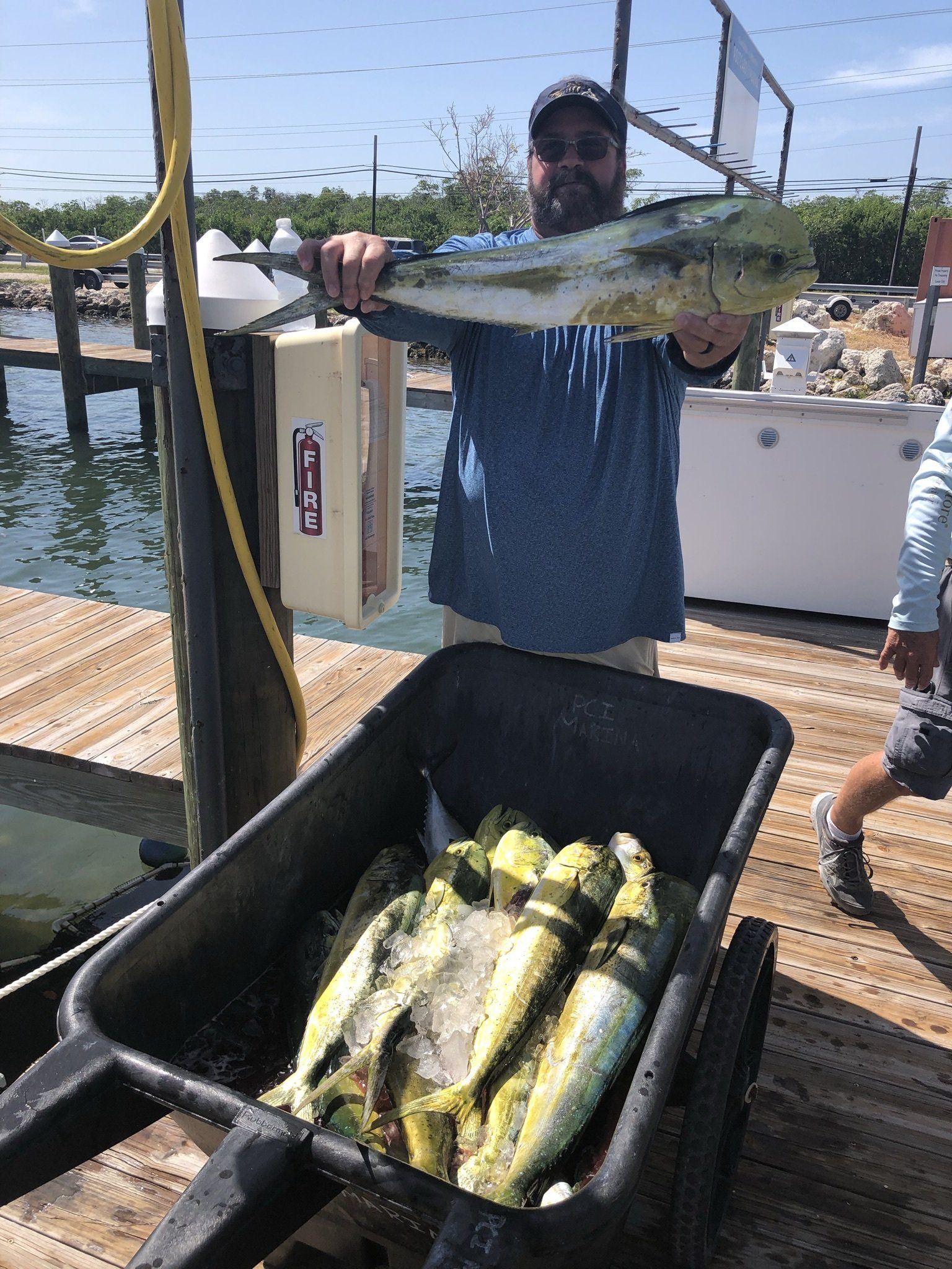 A man is holding a large fish in front of a wheelbarrow full of fish.