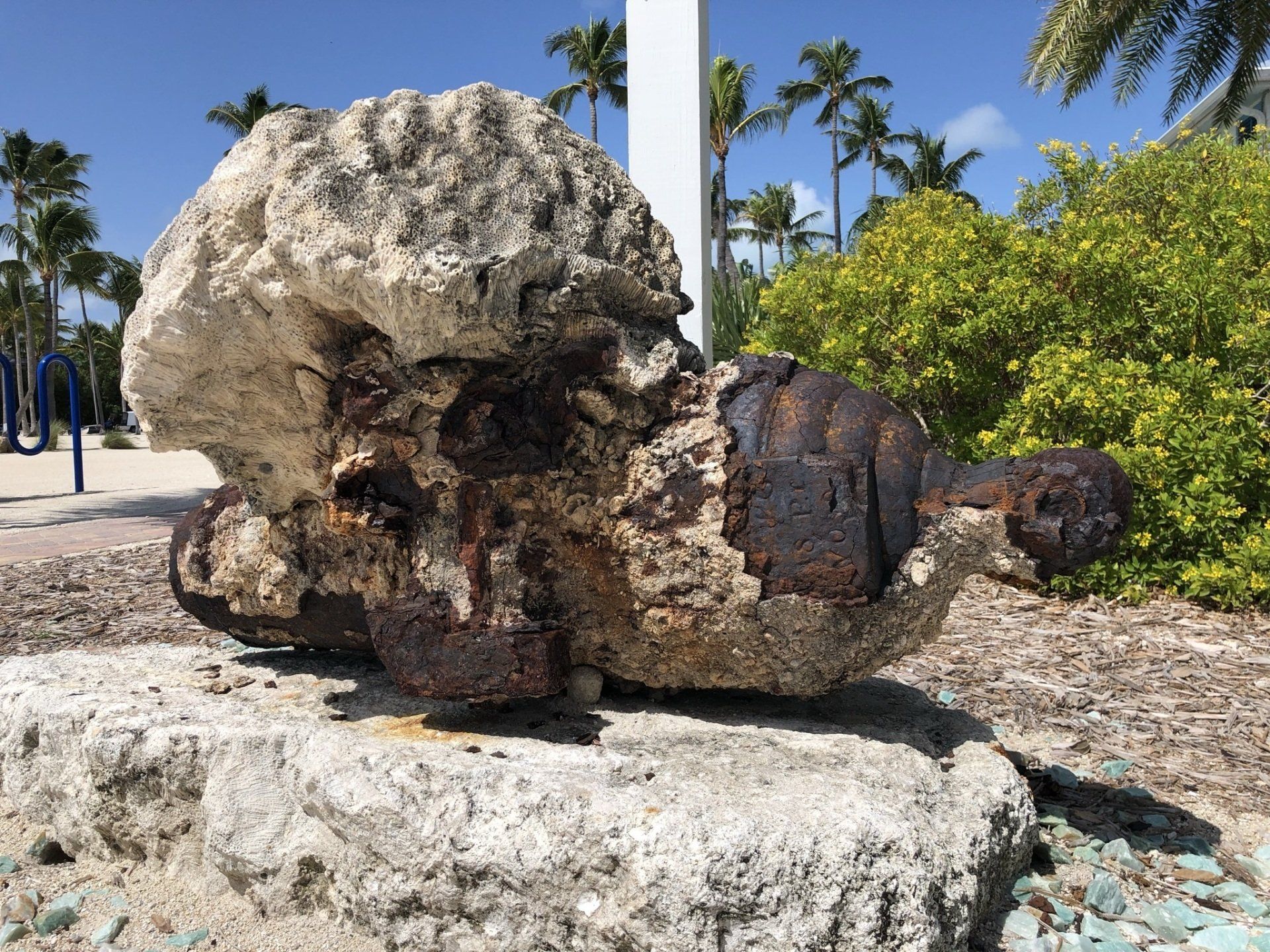 A large rock shaped like a turtle is sitting on top of a rock.