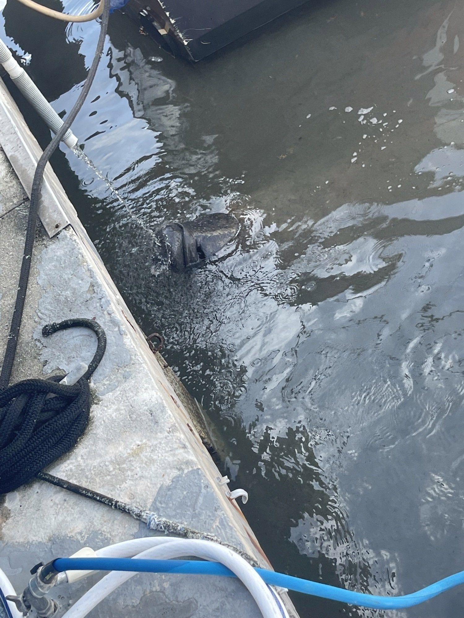 A hose is attached to a concrete surface next to a body of water.