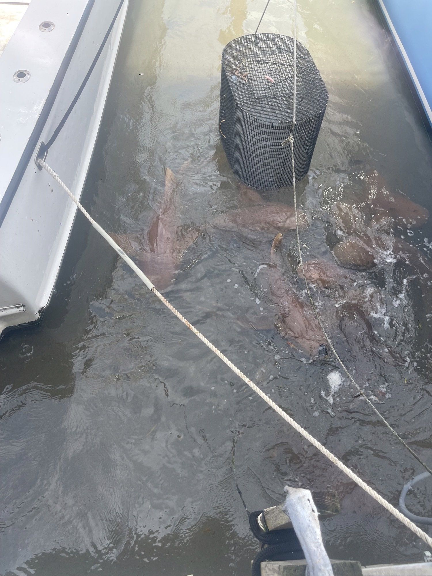 A bucket is floating in the water next to a boat.