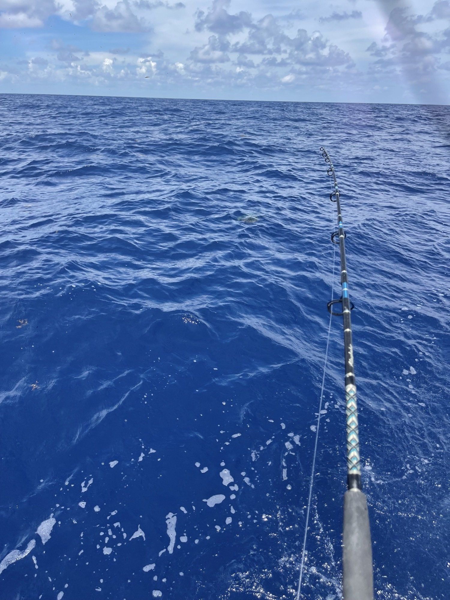 A fishing rod in the middle of the ocean