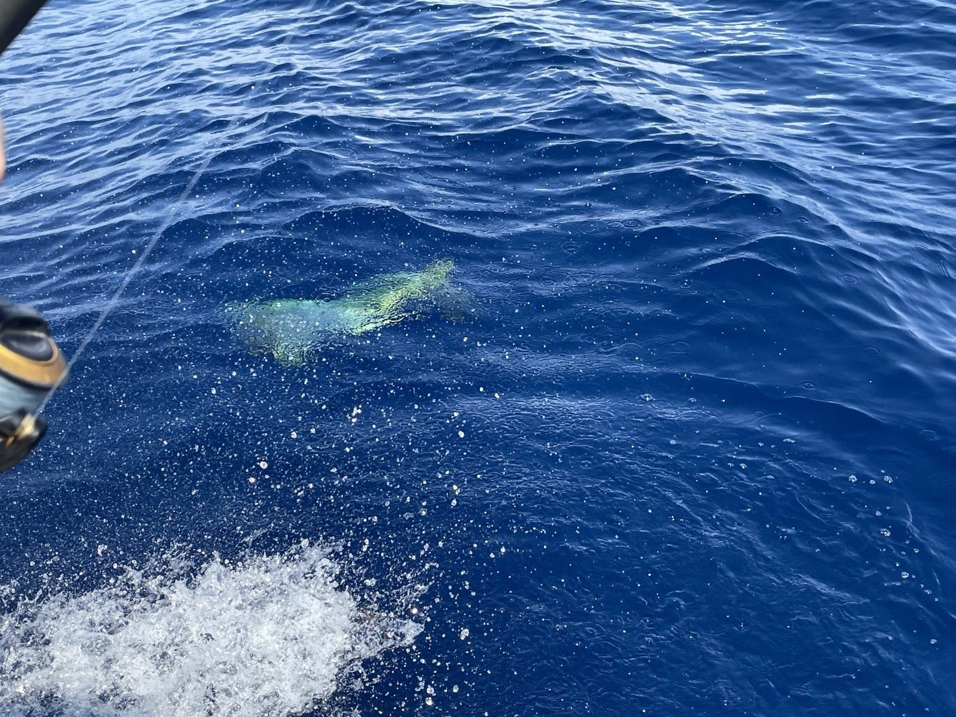 A person is riding a jet ski in the ocean.