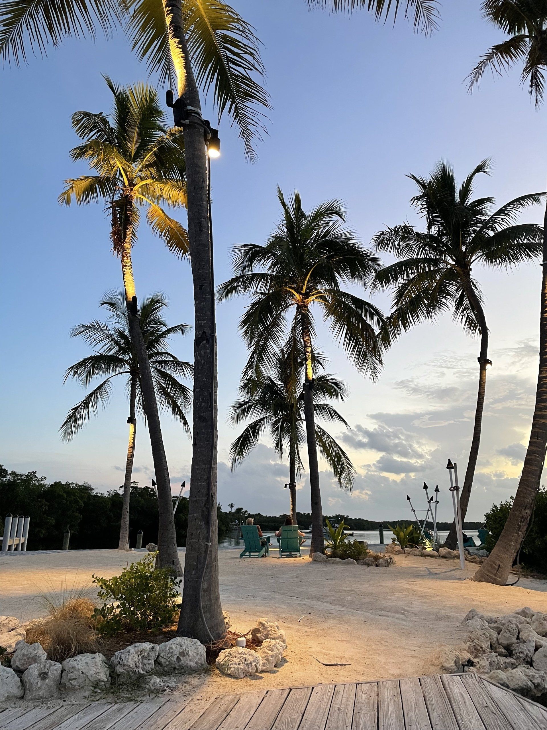 A row of palm trees on a sandy beach