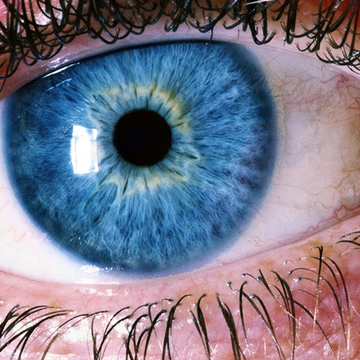 A close up of a blue eye with long eyelashes