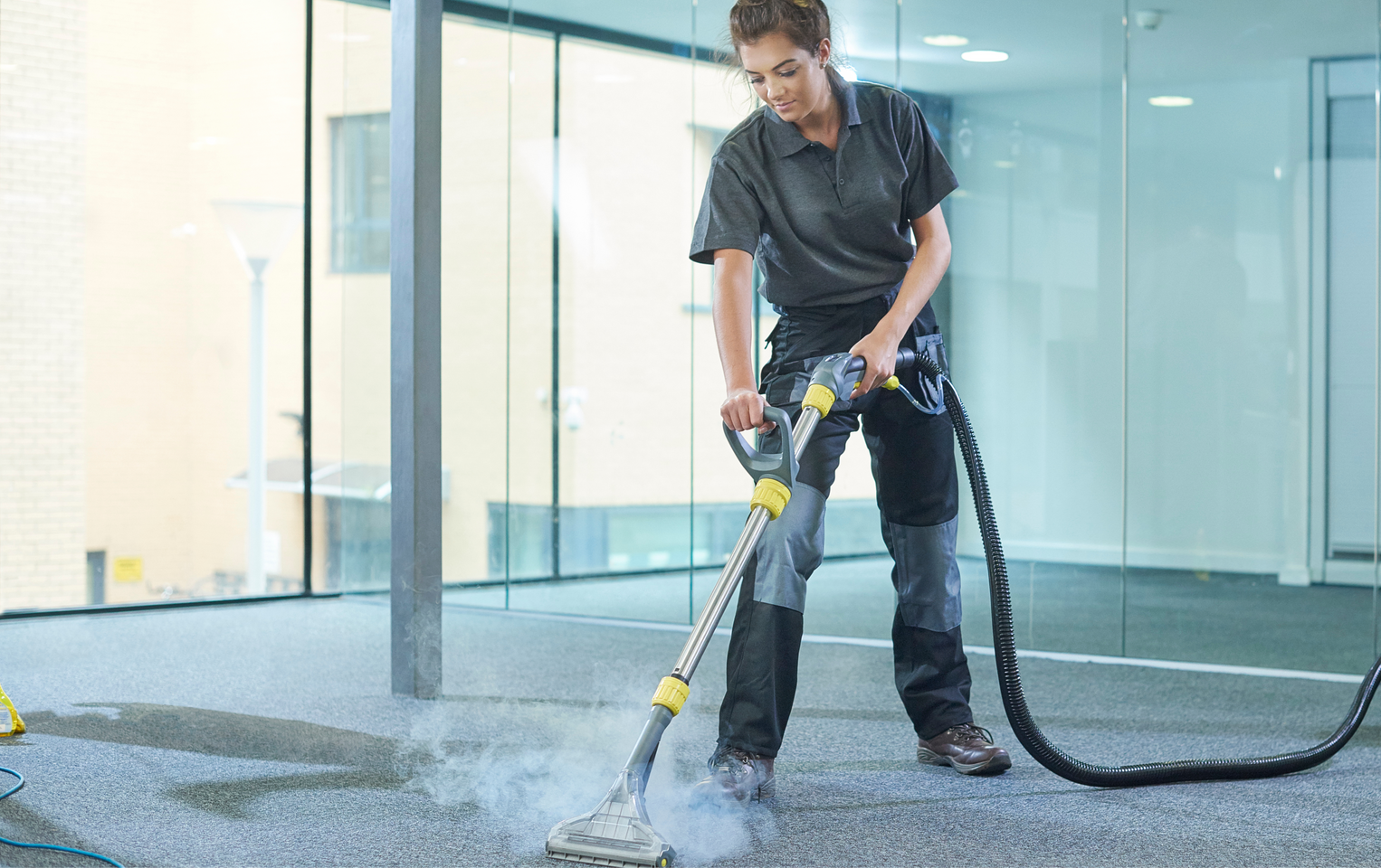 Carpet Cleaning Services Near McKinley