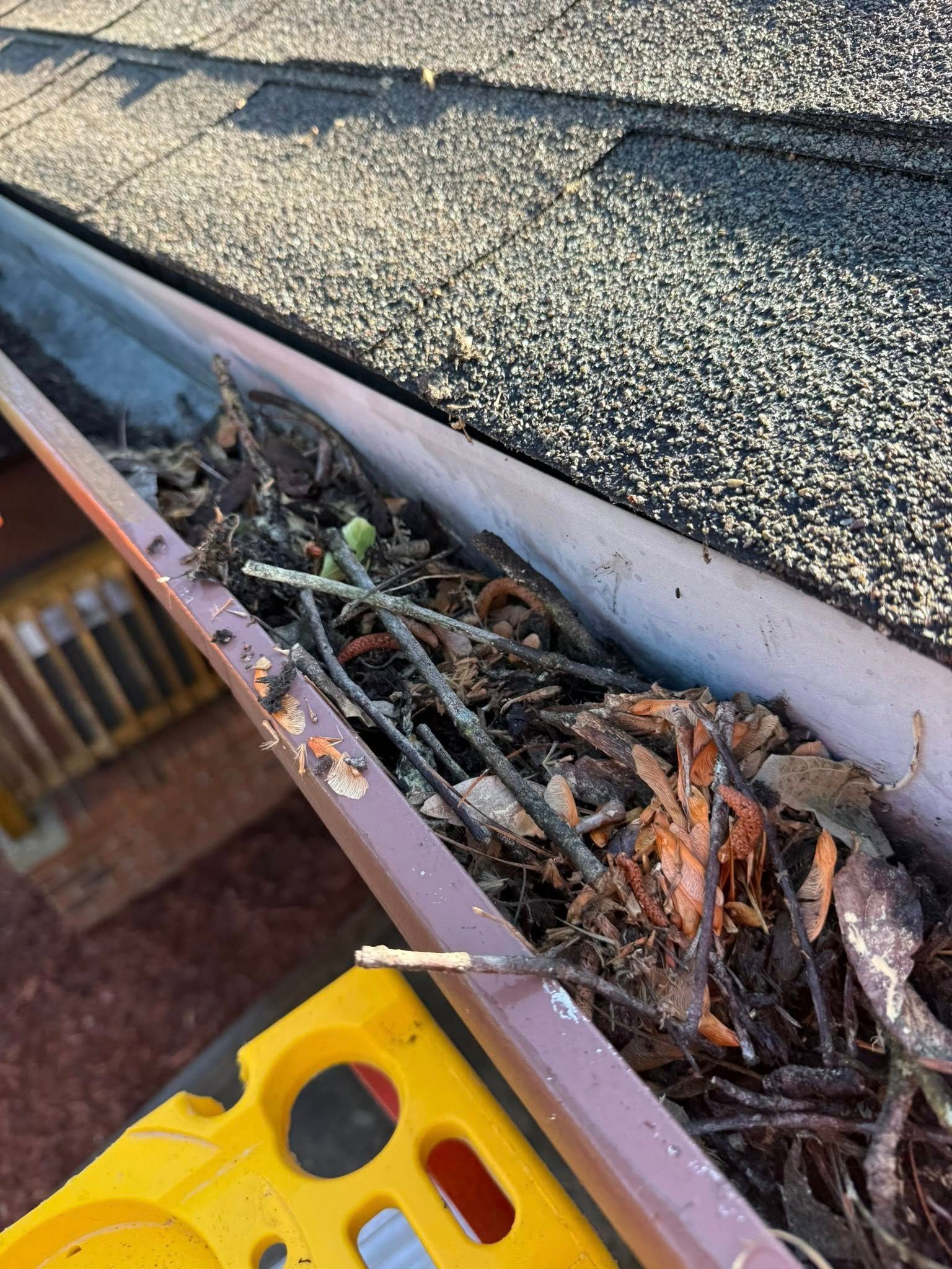 A close up of a gutter filled with leaves and branches on a roof.